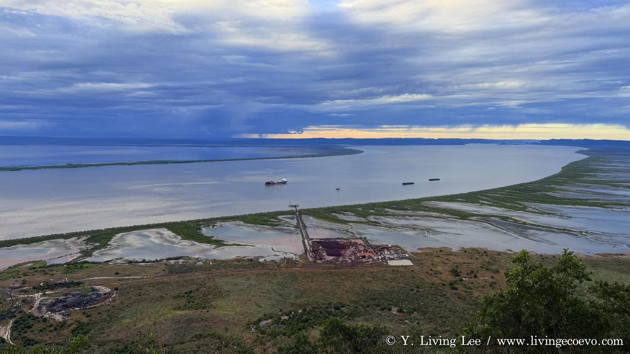 Coastal view of mangroves at the Five Rivers Lookout @ WA, Wyndham