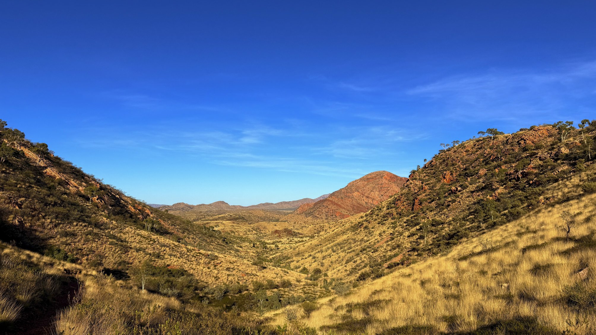 Spinifex dotted valley @ NT, West MacDonnell Range, Ormiston pound walk
