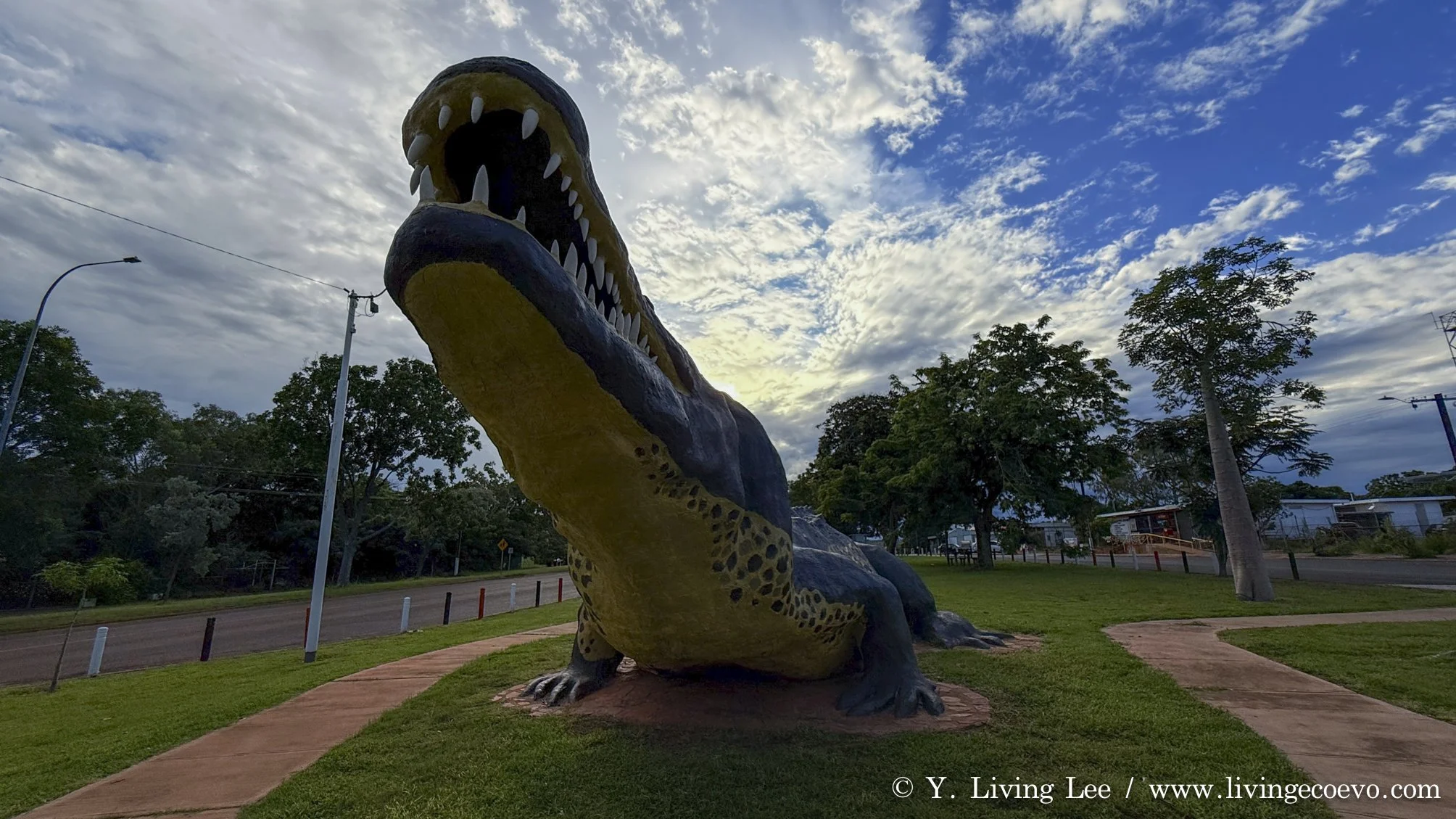 Giant crocodile @ WA, Wyndham