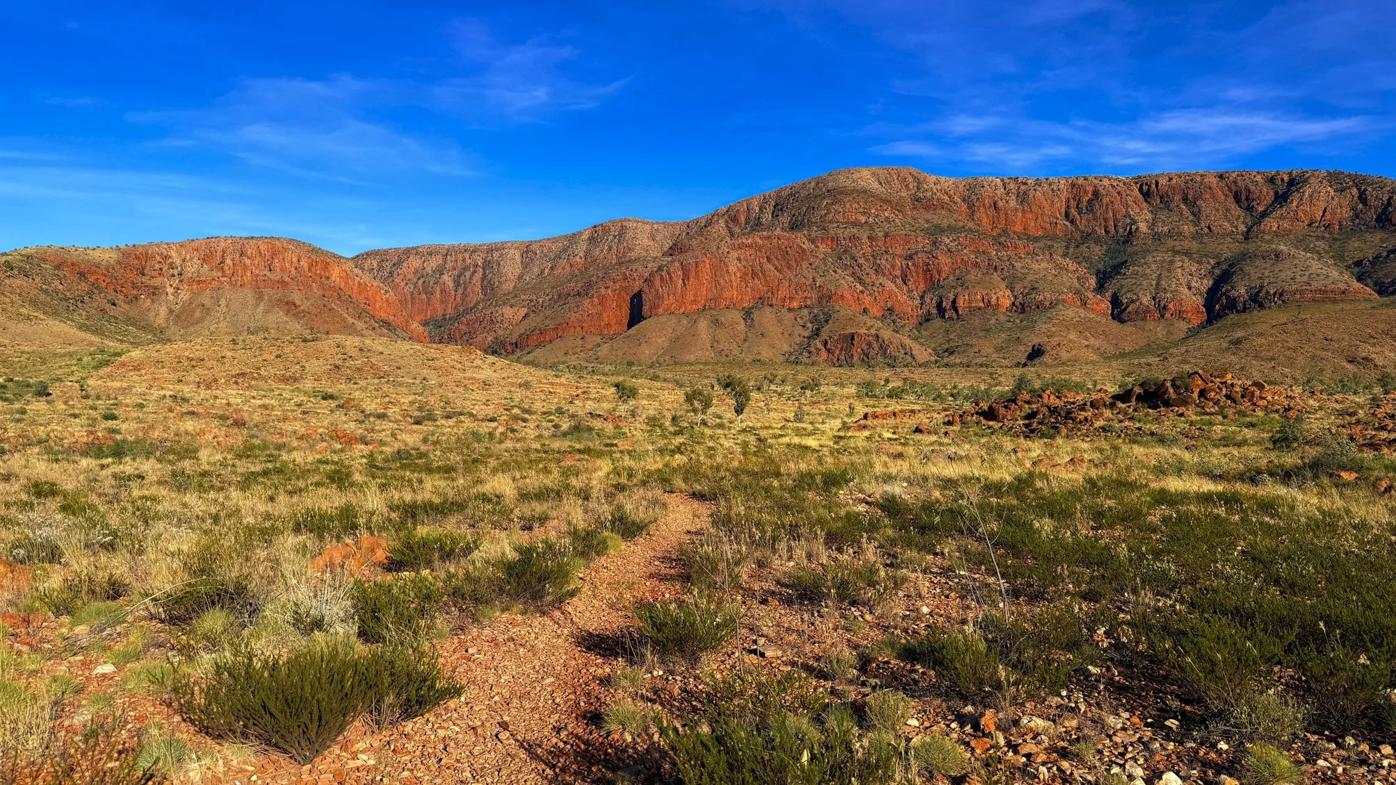 Ormiston pound @ NT, West MacDonnell Range, Ormiston pound walk