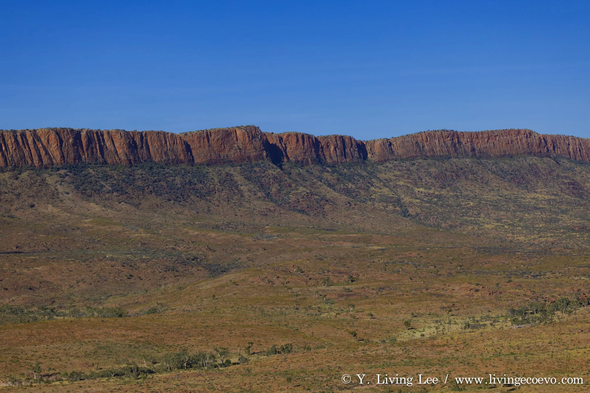 Ormiston pound lookout @ NT, West MacDonnell Range, Ormiston pound walk