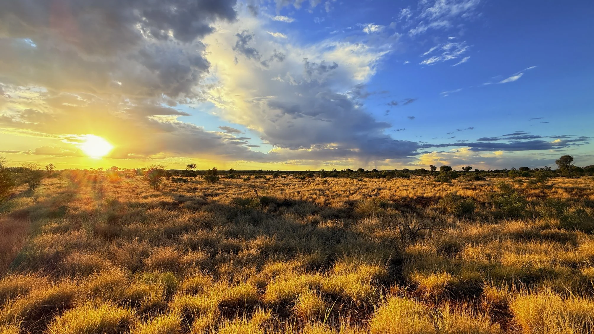 Golden lining after the desert storm @ NT, Kings Canyon