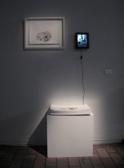 Documentation of installation. 200 silk screen prints, framed pencil on paper, video work,  2014