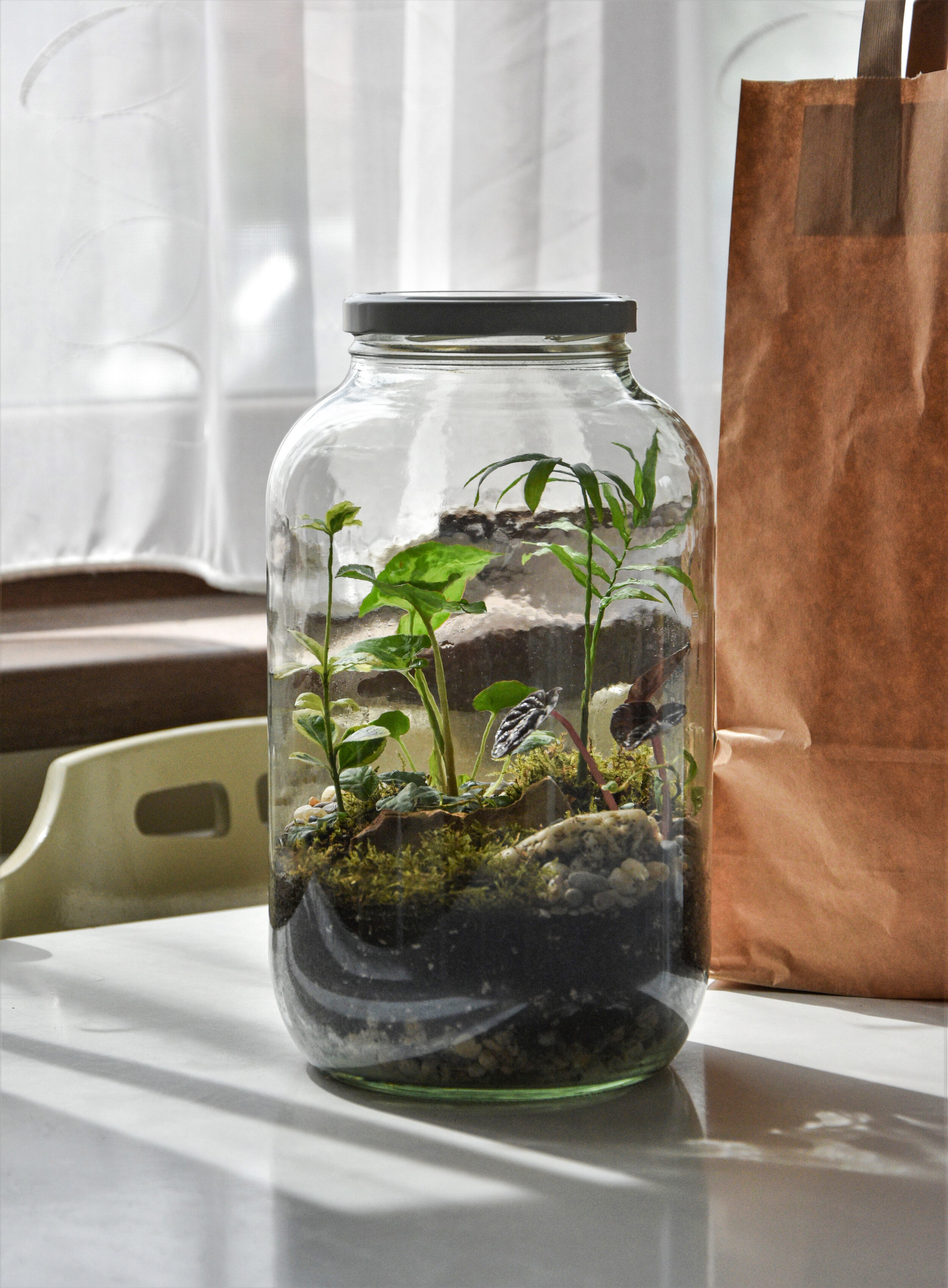 Are you a marble jar boss?