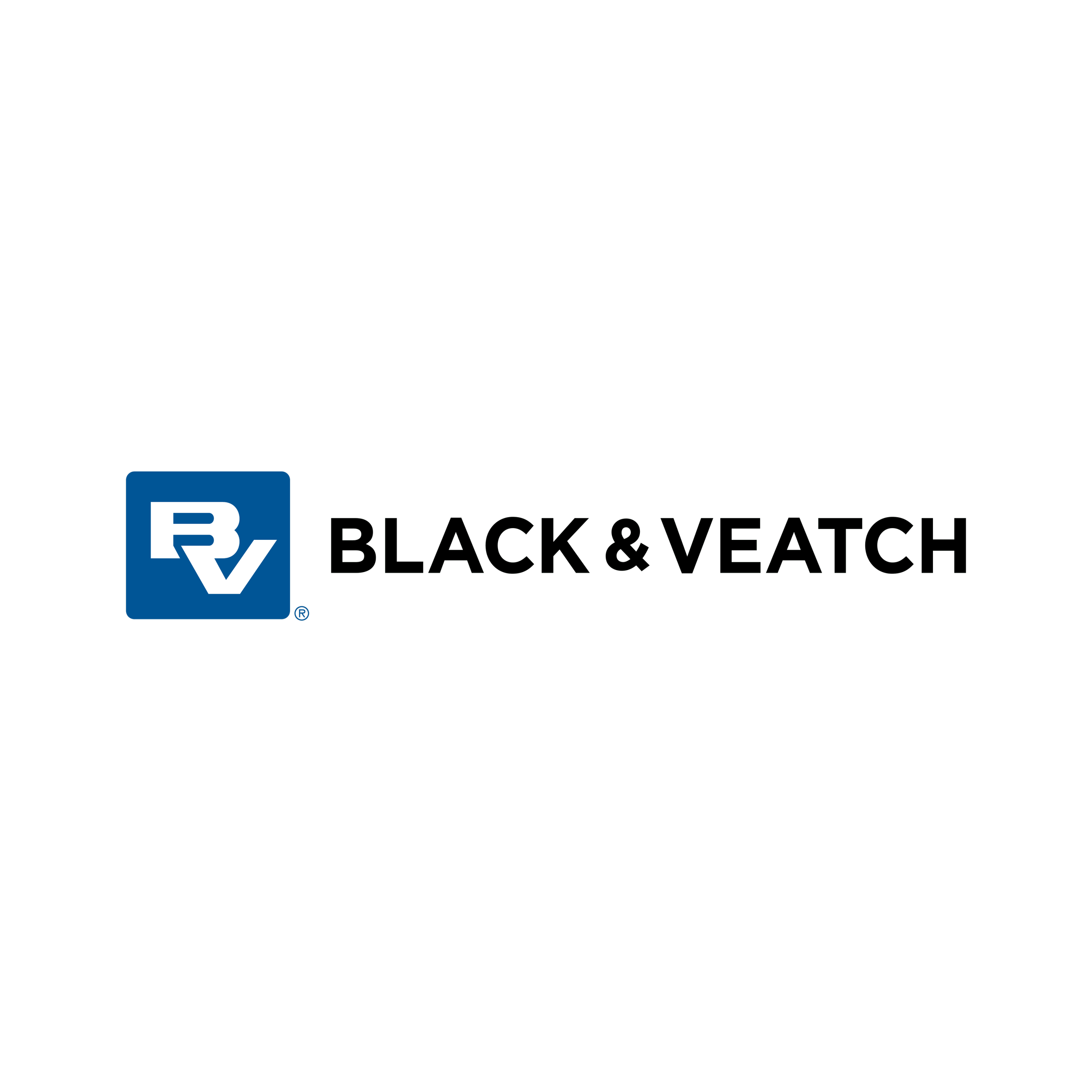 Black_&_Veatch-Logo.wine.png