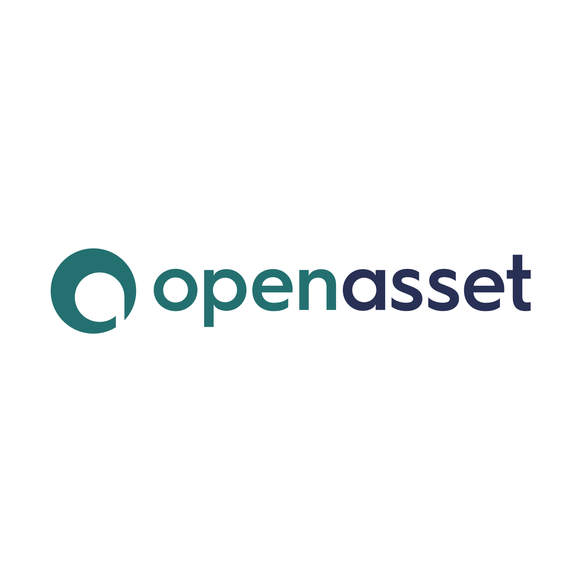 Open Asset.png