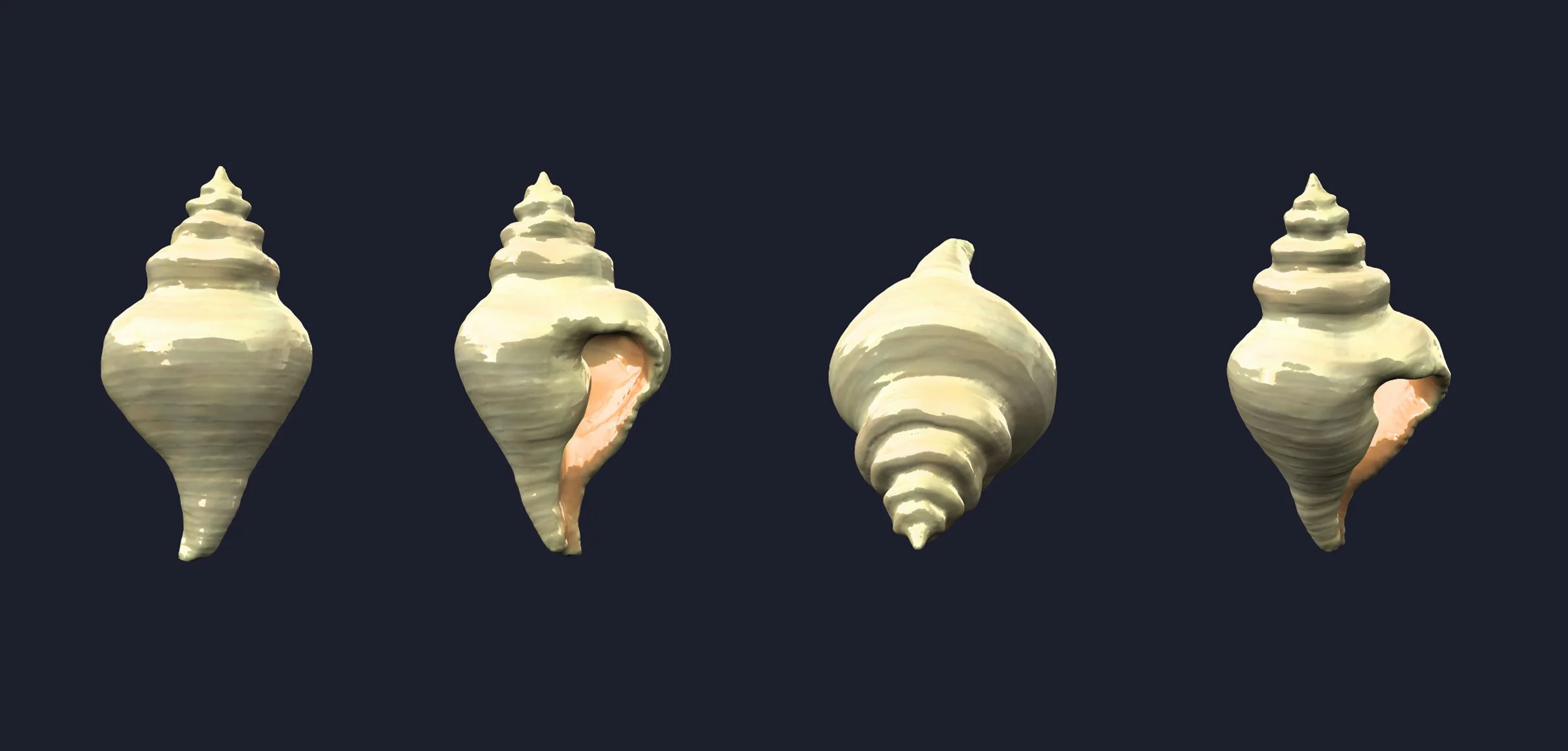 Shells.Conch.jpg