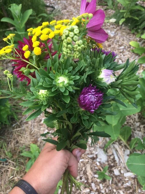 Abundance Farm Flowers 1.jfif