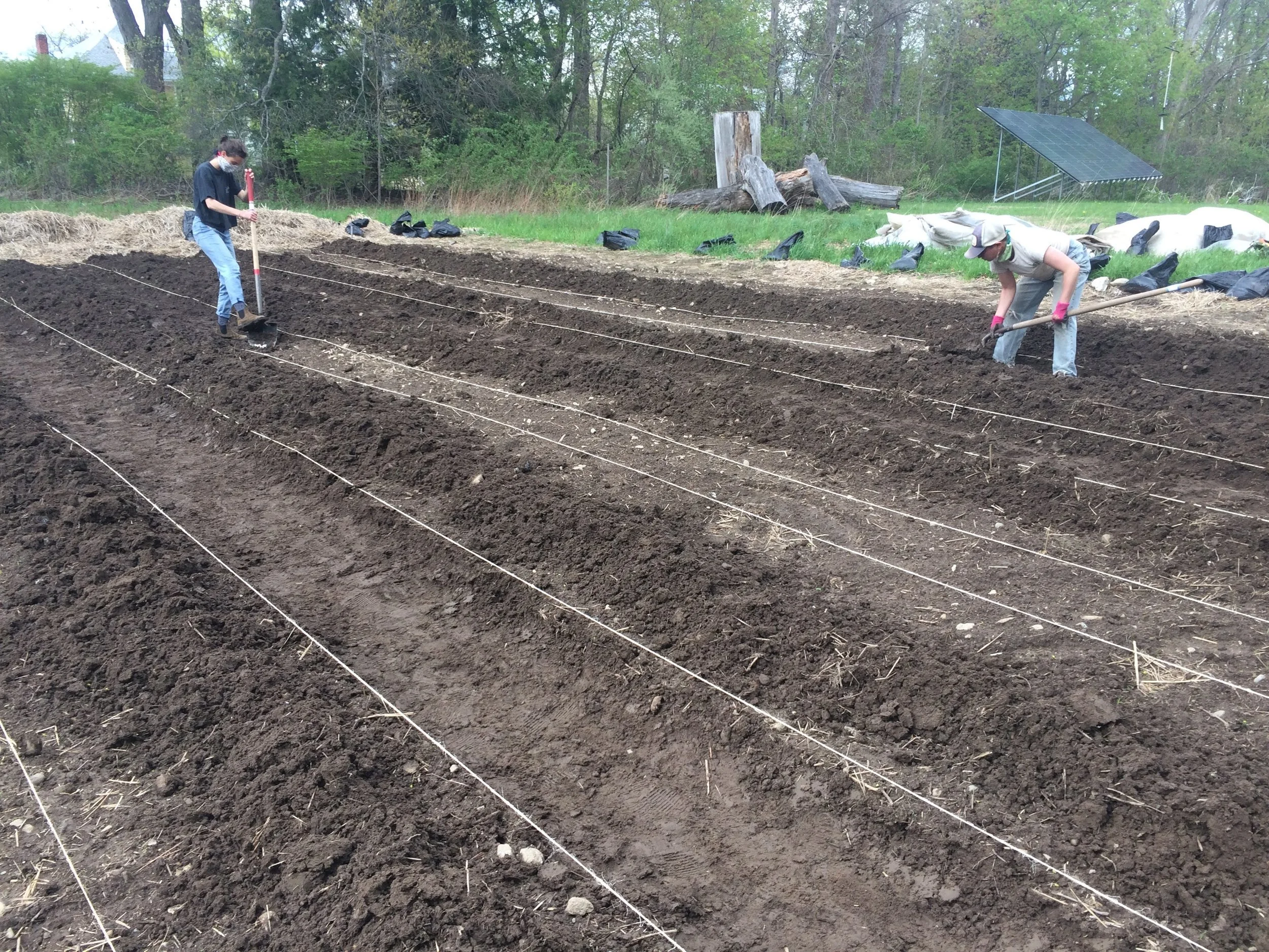IMG_2050.JPG