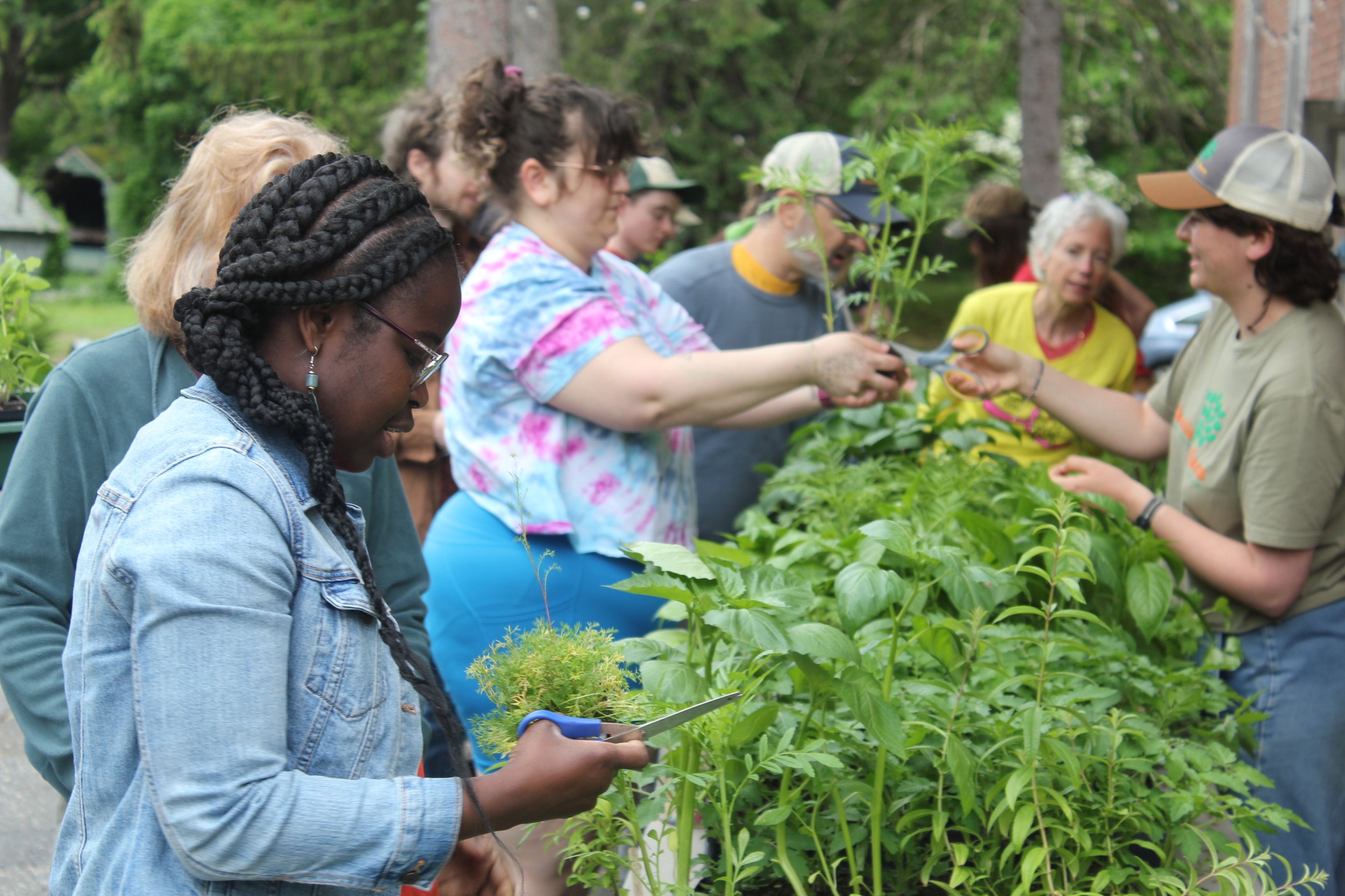 Shared Abundance Gardens Distribution Day
