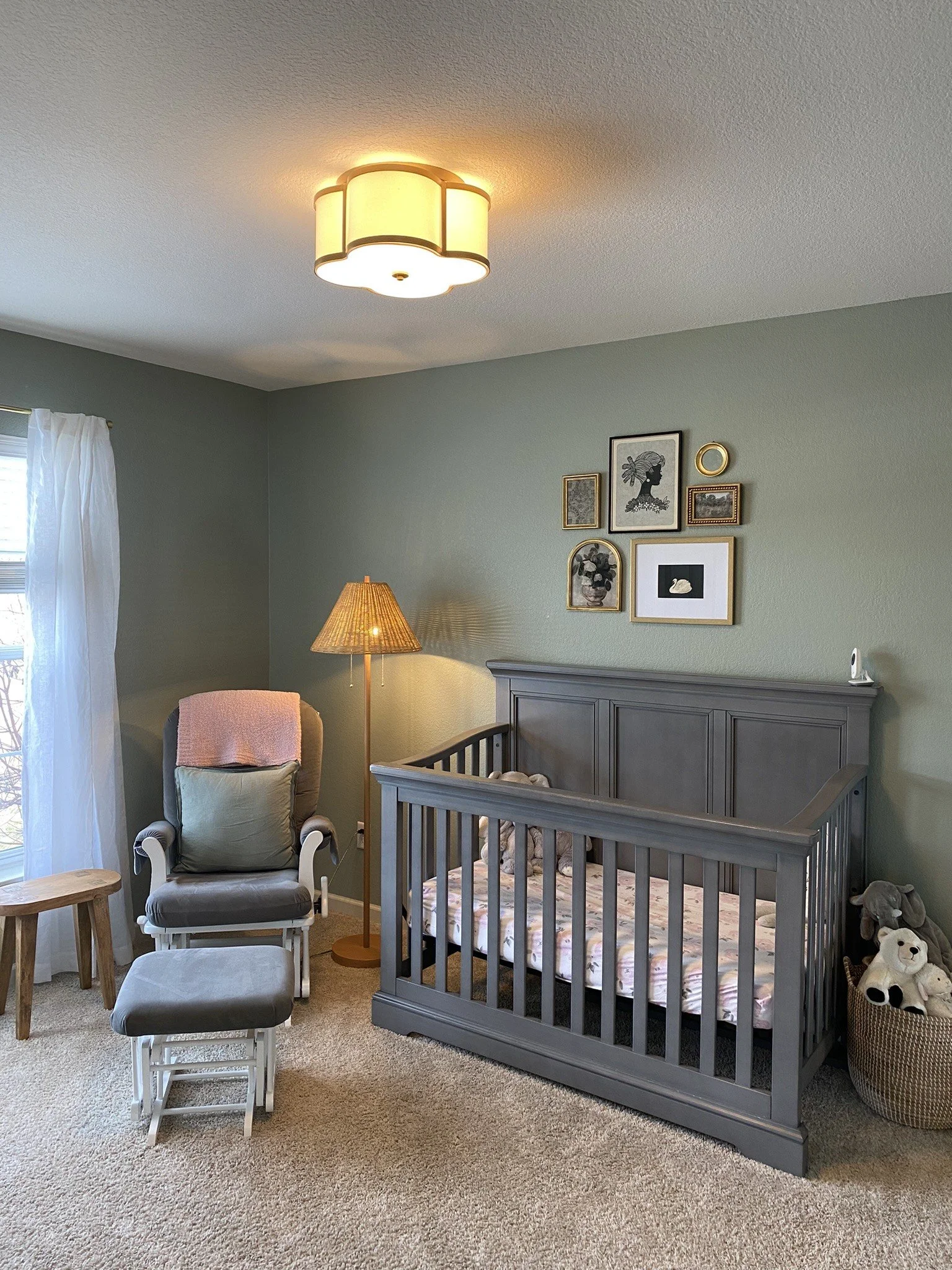 image_123650291 (2).JPG