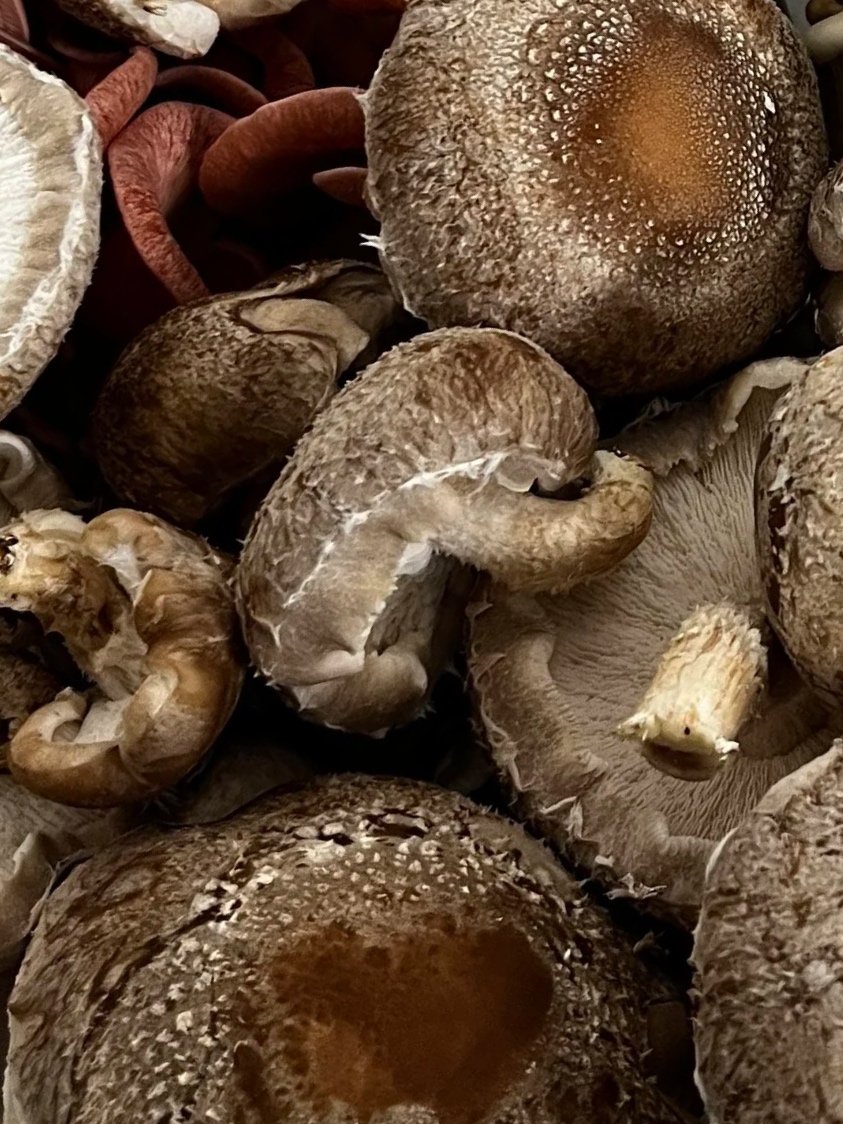 Dried shiitake mushrooms