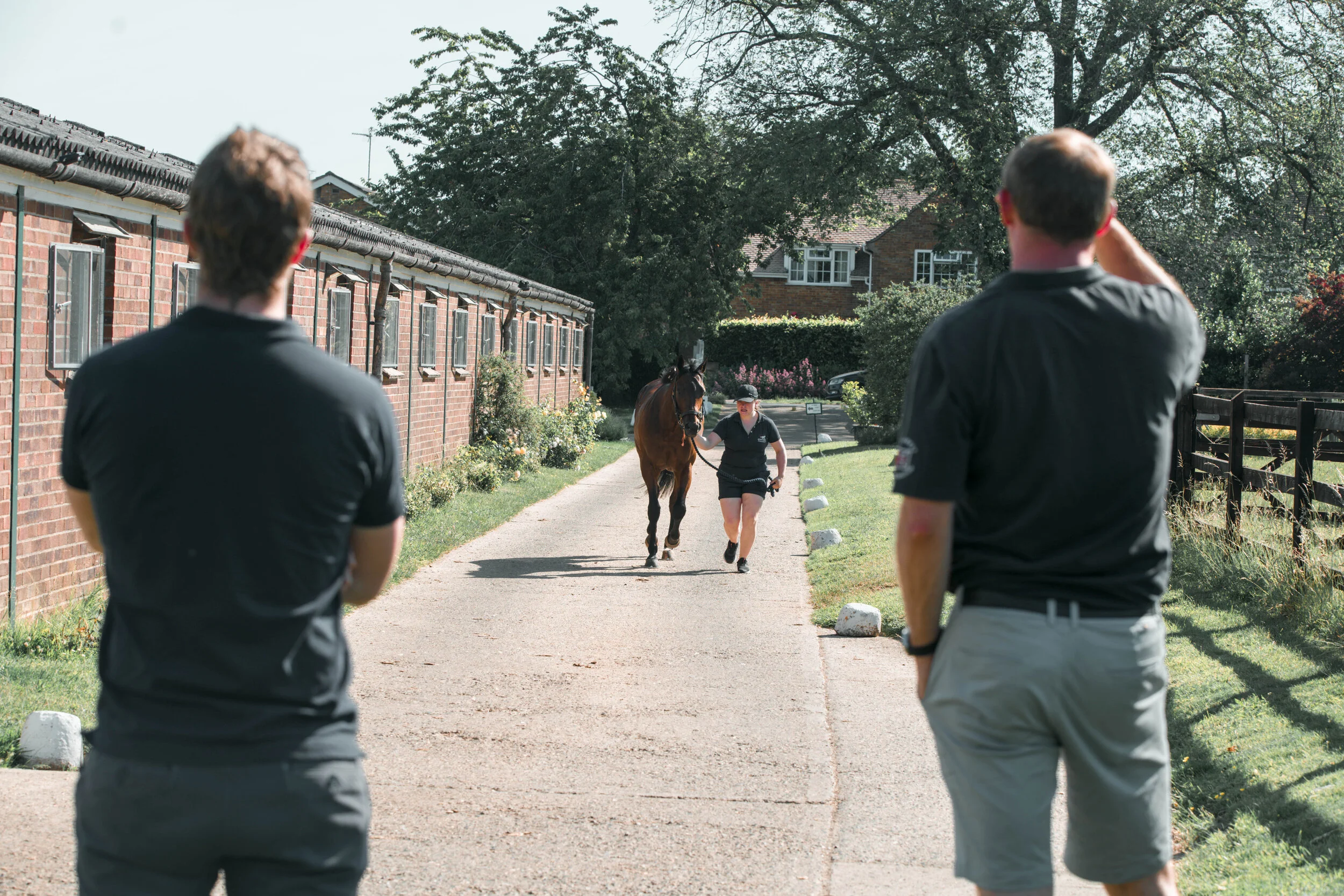Newmarket equine vets — Baker McVeigh International