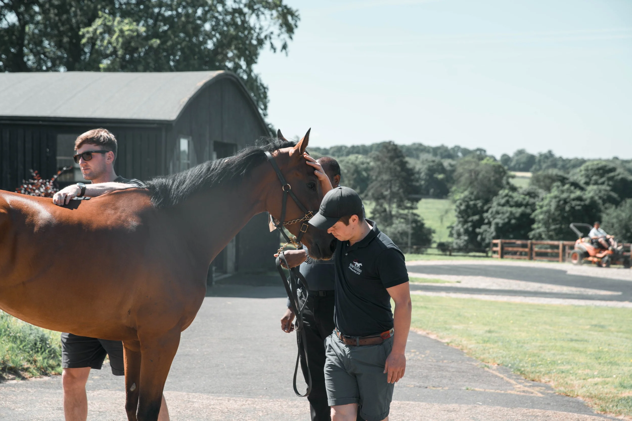 Newmarket equine vets — Baker McVeigh International
