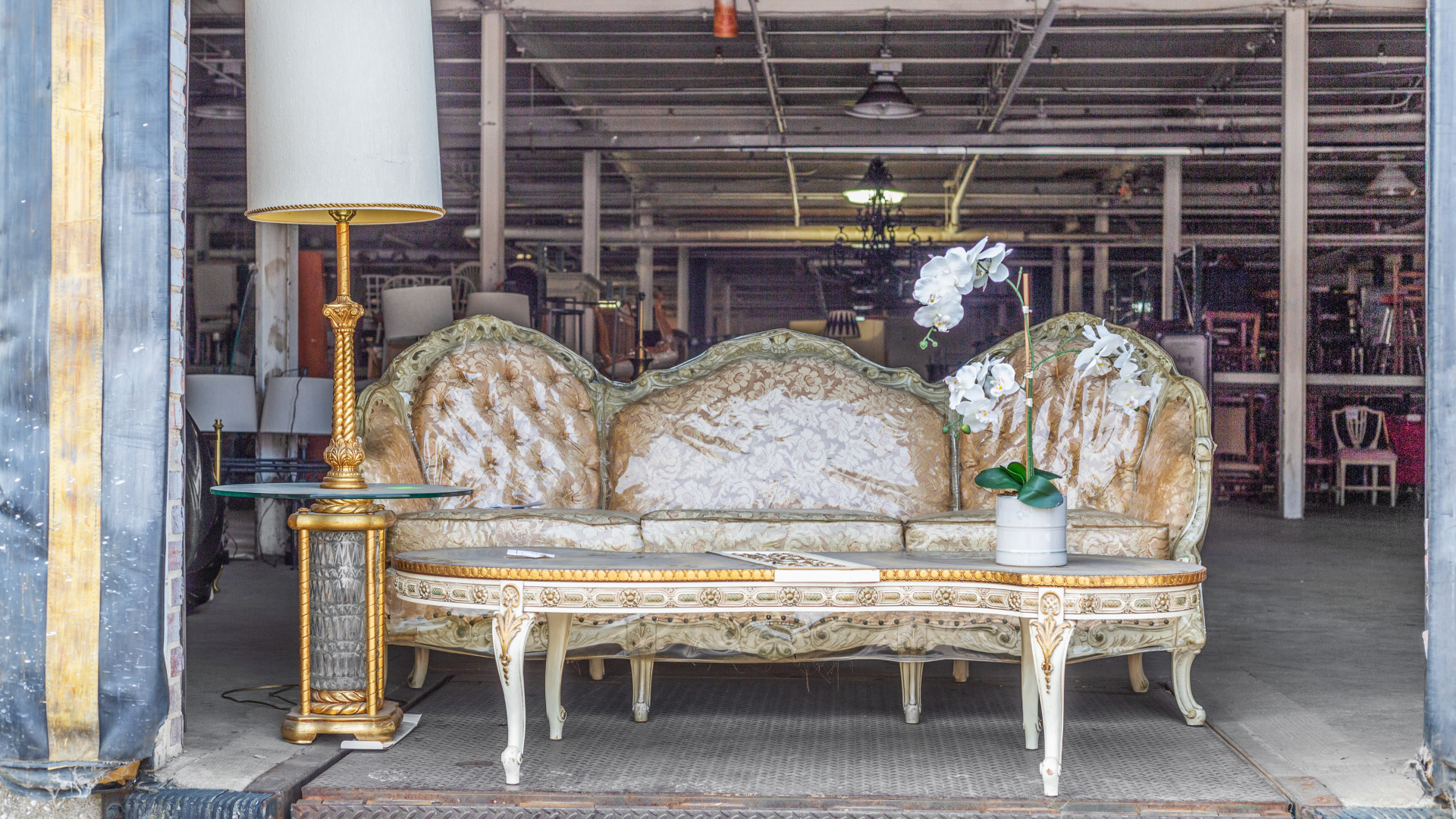 Vintage-style beige and gold ornate sofa with floral pattern, decorated with white orchids in a white pot, placed on a small beige rug, inside a furniture warehouse with other furniture in the background.