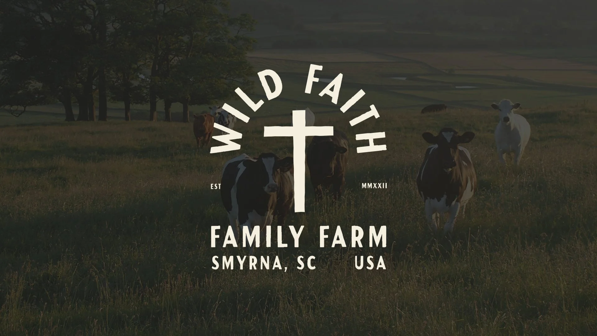 WF.Web.01.jpg