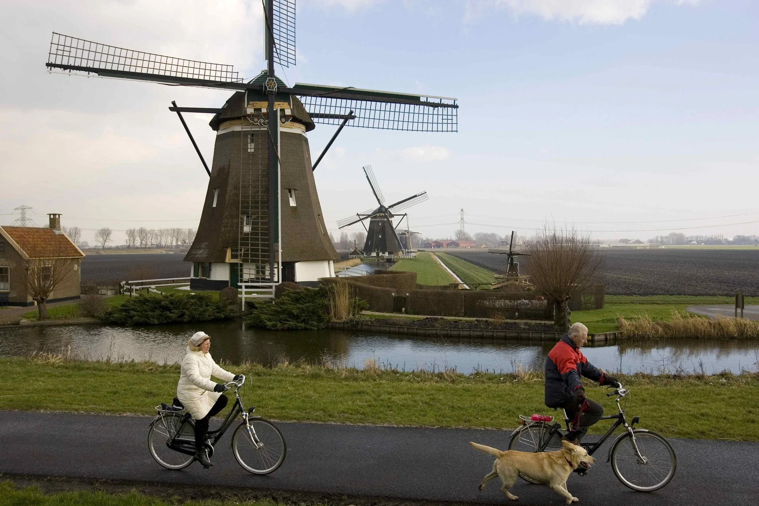 What can Australia and the Netherlands teach us about pension consolidation?