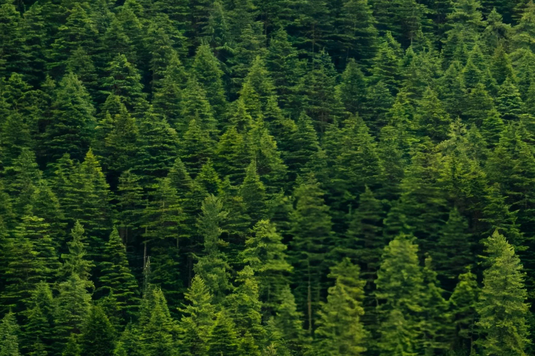 Is the growth of evergreen funds among asset owners genuine innovation or marketing hype?