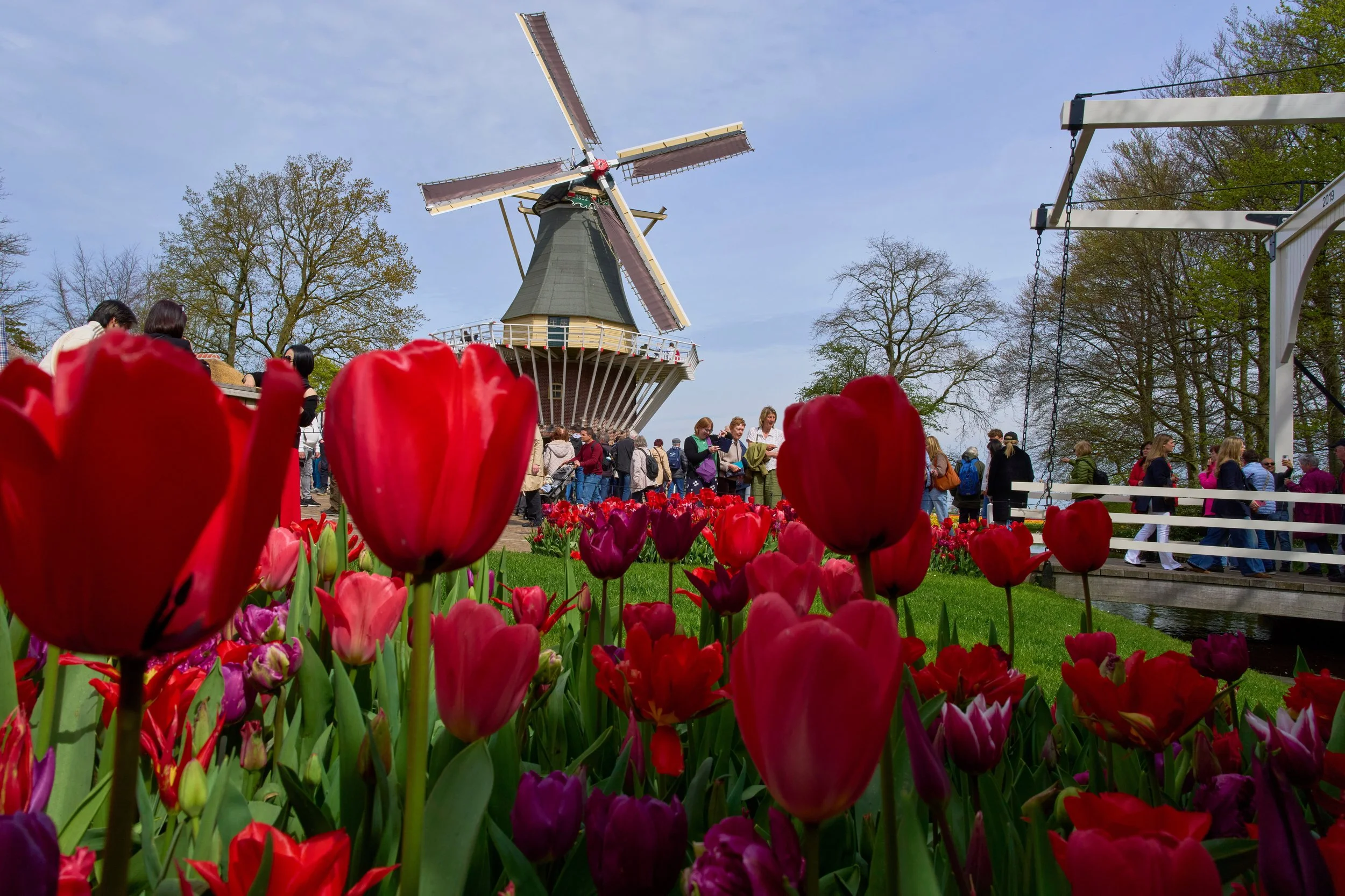 Why the UK and the Dutch have taken two very different approaches to collective pensions