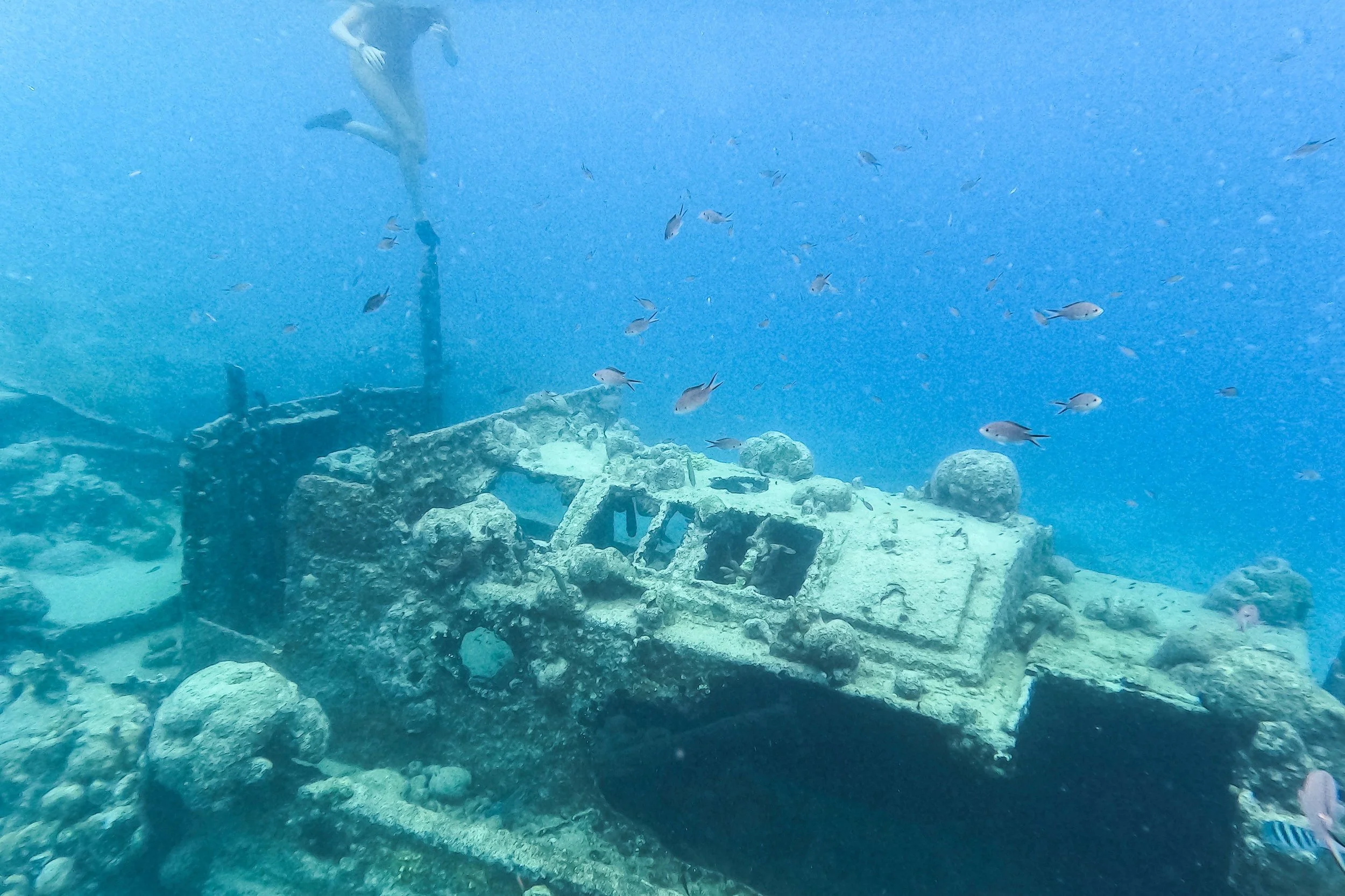 Alternatives ahoy! Is treasure the next big investment opportunity?