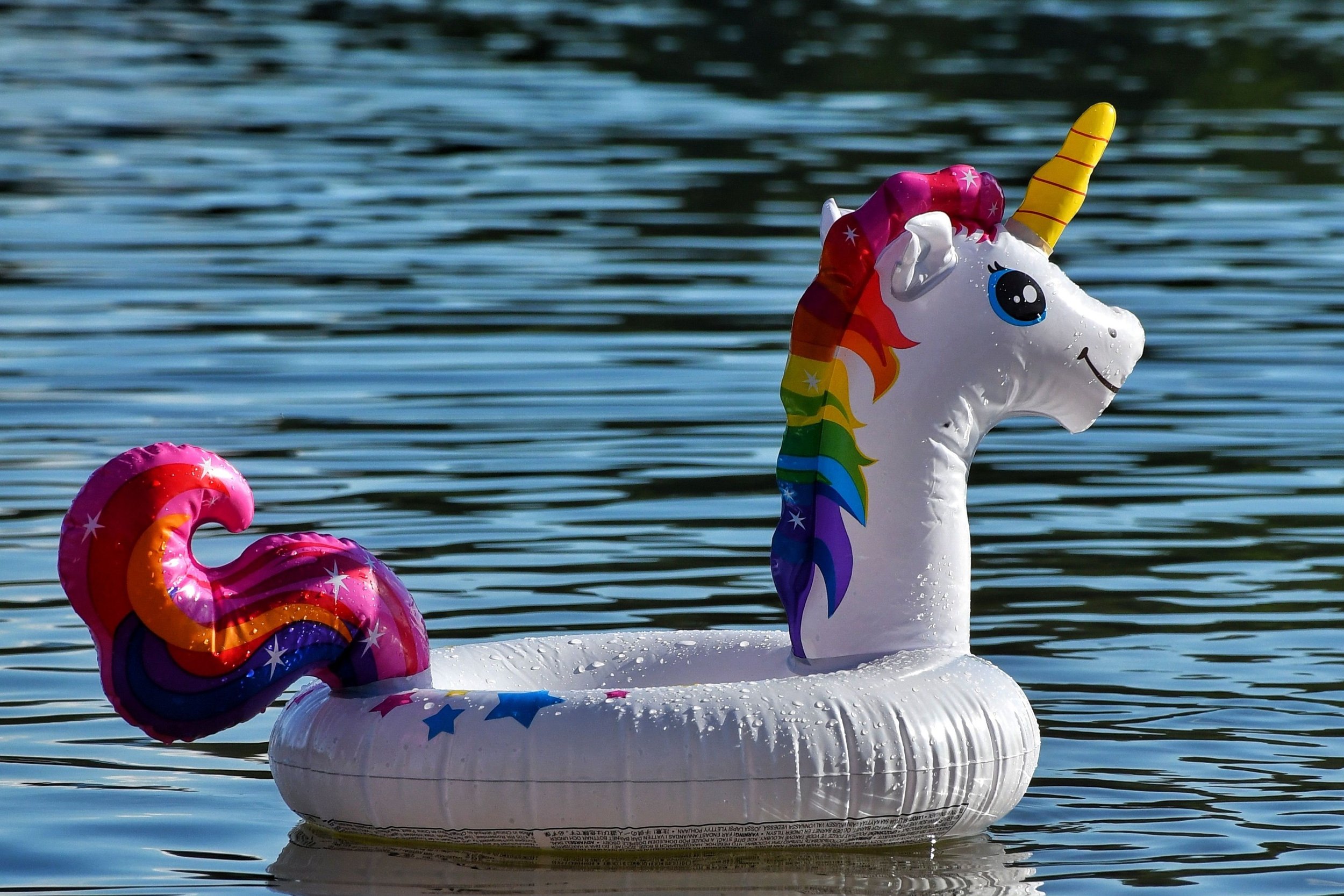 How good are sovereign wealth funds at finding unicorns?