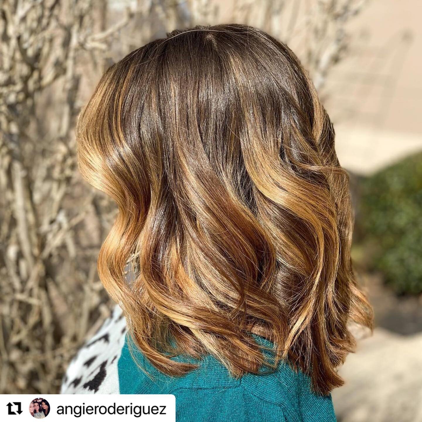 Bronze beauty&hellip;&hellip;&hellip;👩&zwj;🦰👩&zwj;🦰👩&zwj;🦰

#brunette ##brunettebalayage #brunettehair #goldwell #collegevillepa #mainlinepa #phillyhairstylist #philly #kingofprussia #amikahair #amikapro