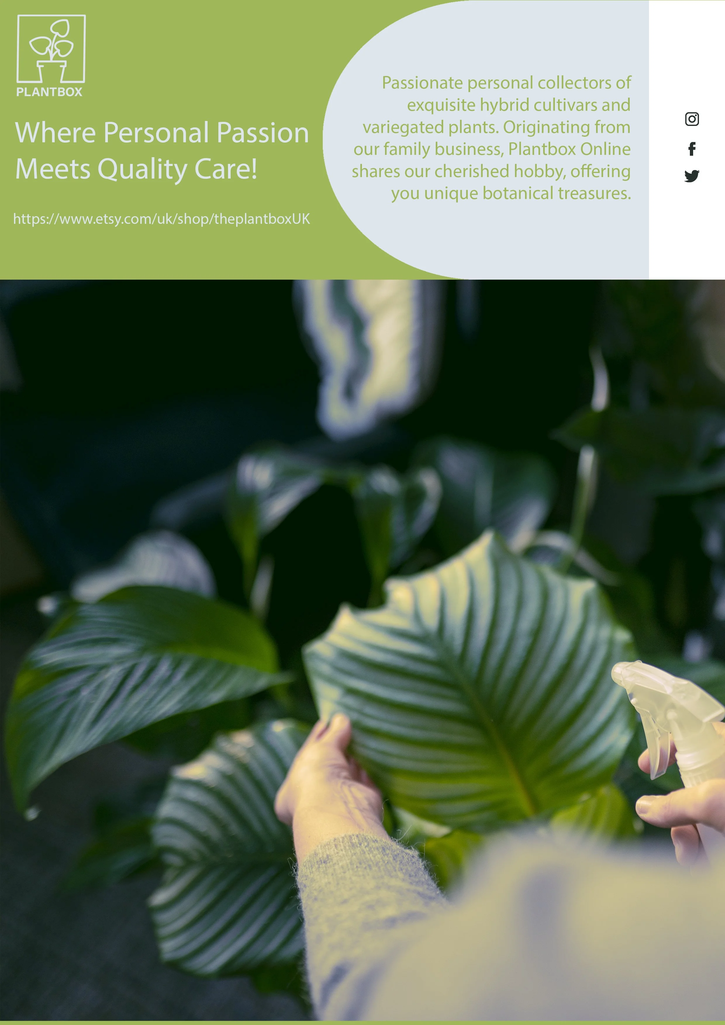 plant box pamphlet.jpg