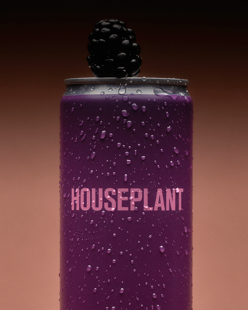 BB_FRUIT TOP UPCLOSE_KG EDIT_HOUSEPLANT BEVERAGES2448.png