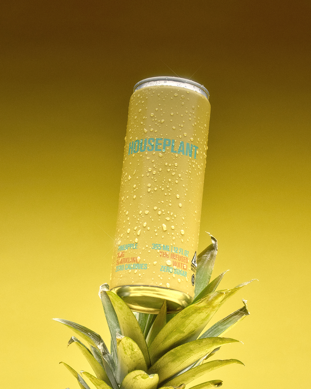 PP_FRUIT STACK_KG EDIT_HOUSEPLANT BEVERAGES2407.png