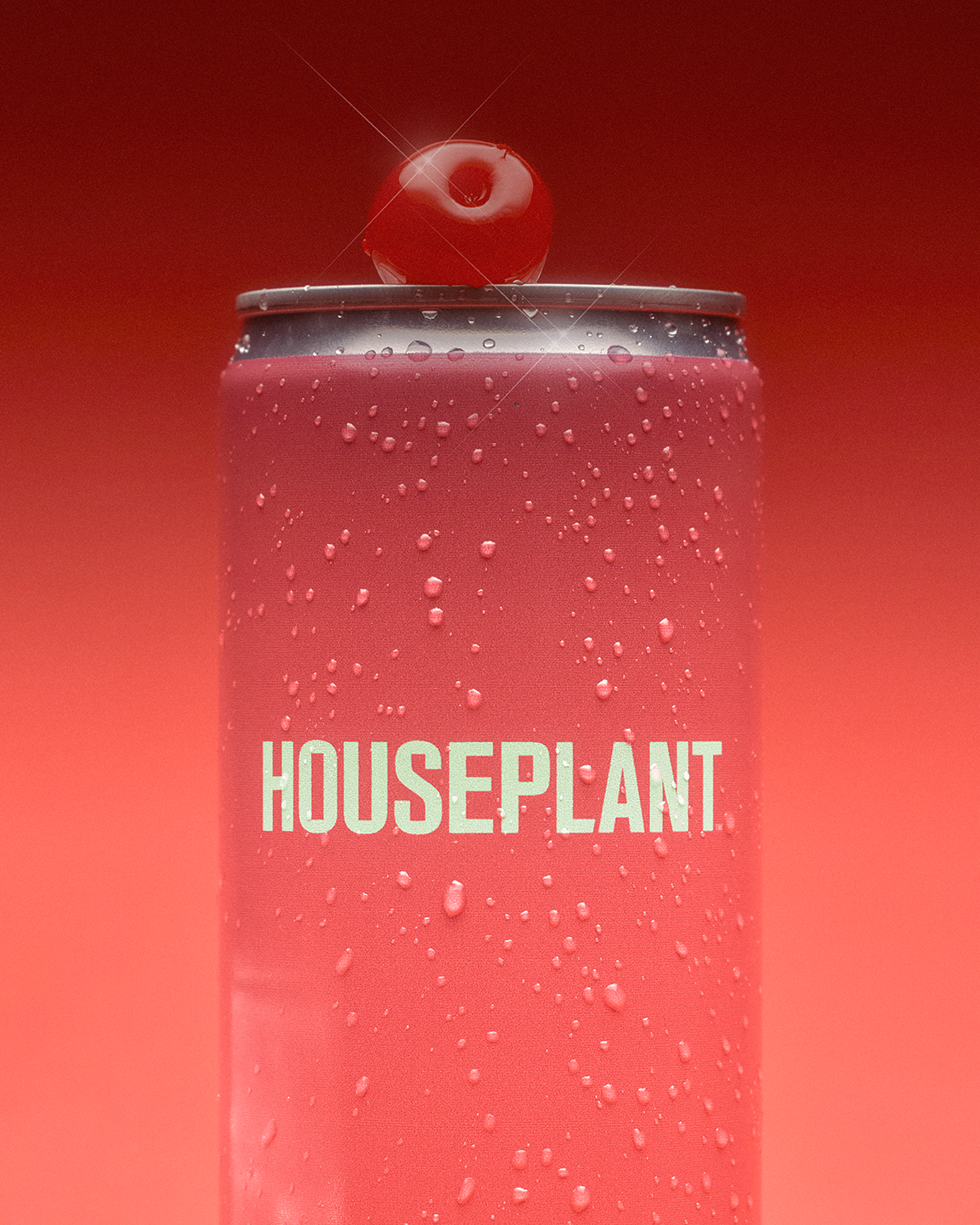 BC_FRUIT TOP_UPCLOSE_KG EDIT_HOUSEPLANT BEVERAGES2259.png