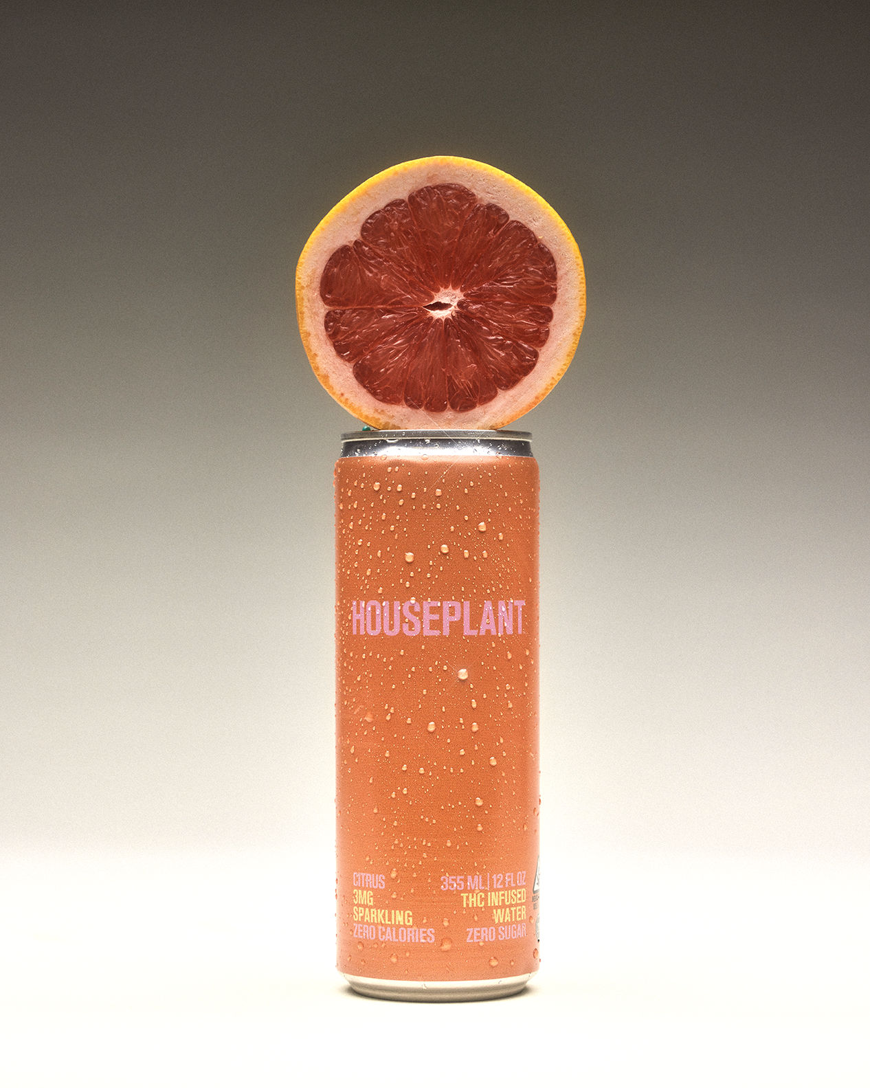 CITRUS_FRUIT TOP_KG EDIT_HOUSEPLANT BEVERAGES2165.png