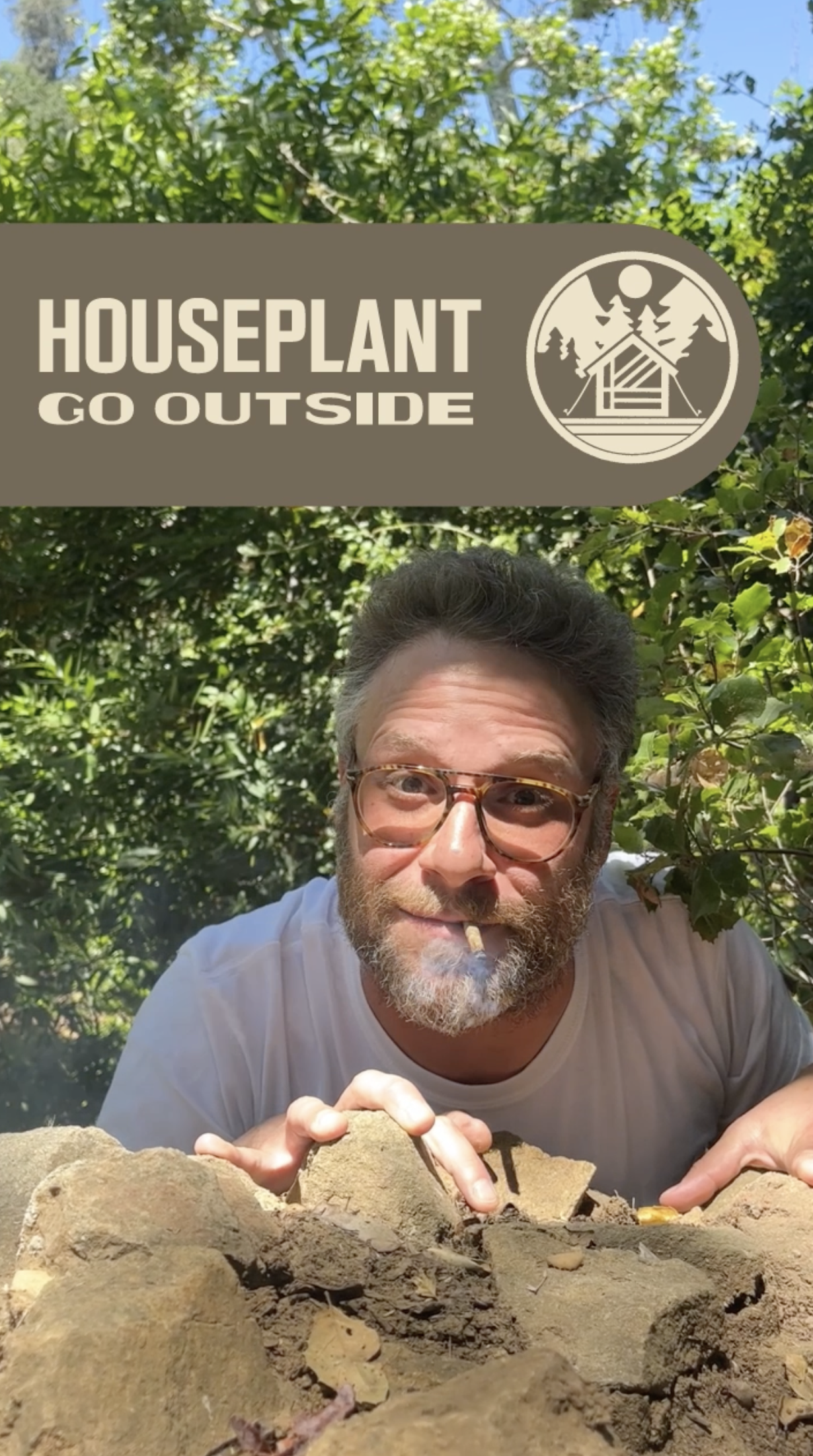Web | Paid | Social Graphics - Designed for Houseplant