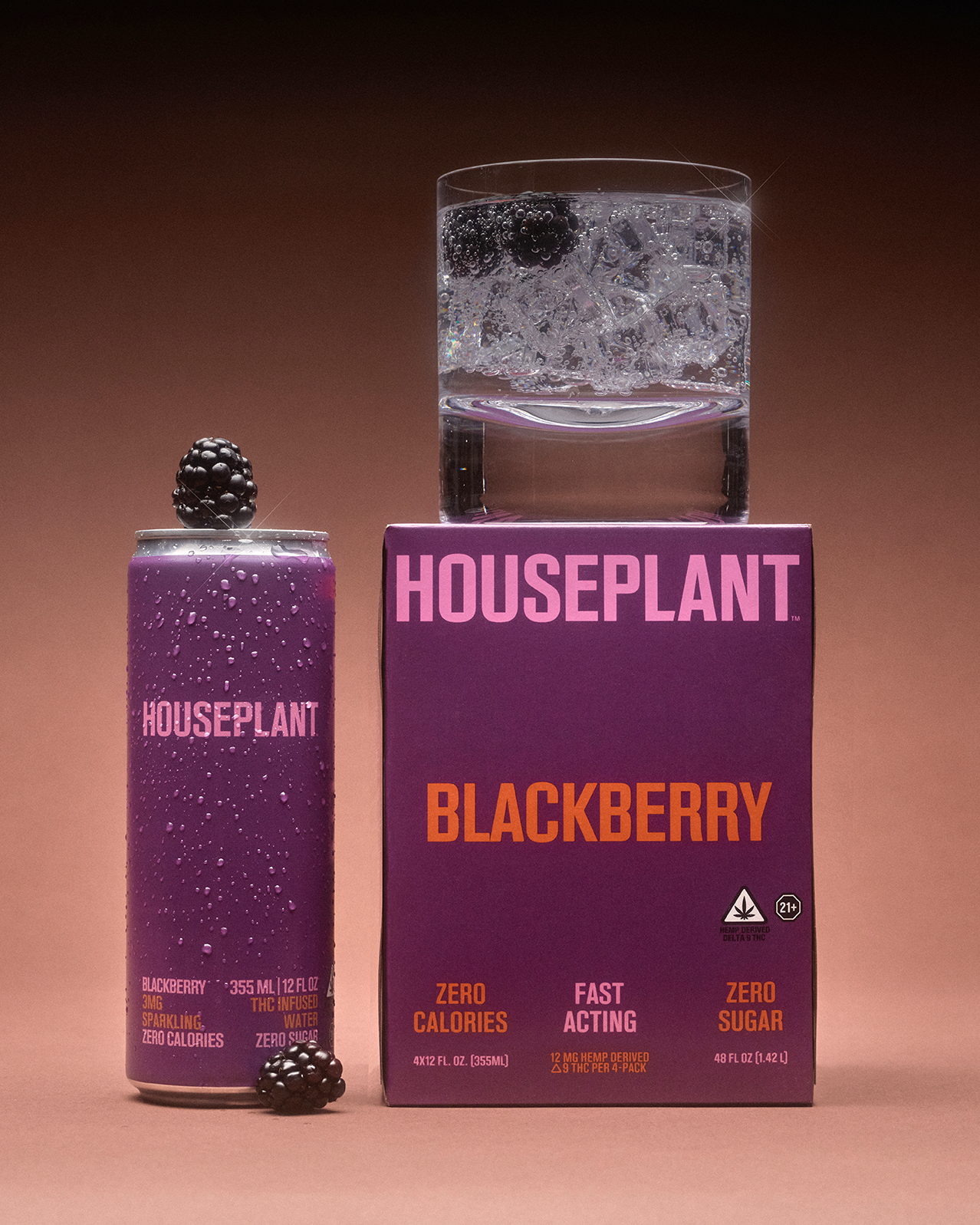 BB_GLASS GROUP BOX_KG EDIT_HOUSEPLANT BEVERAGES2458.png