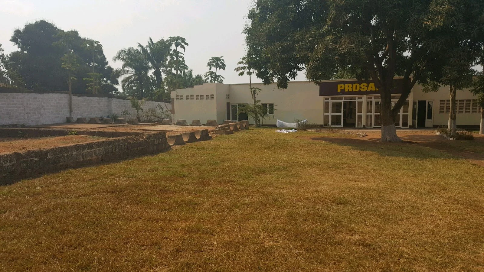 PROSAMI Newsletter: September, 2021