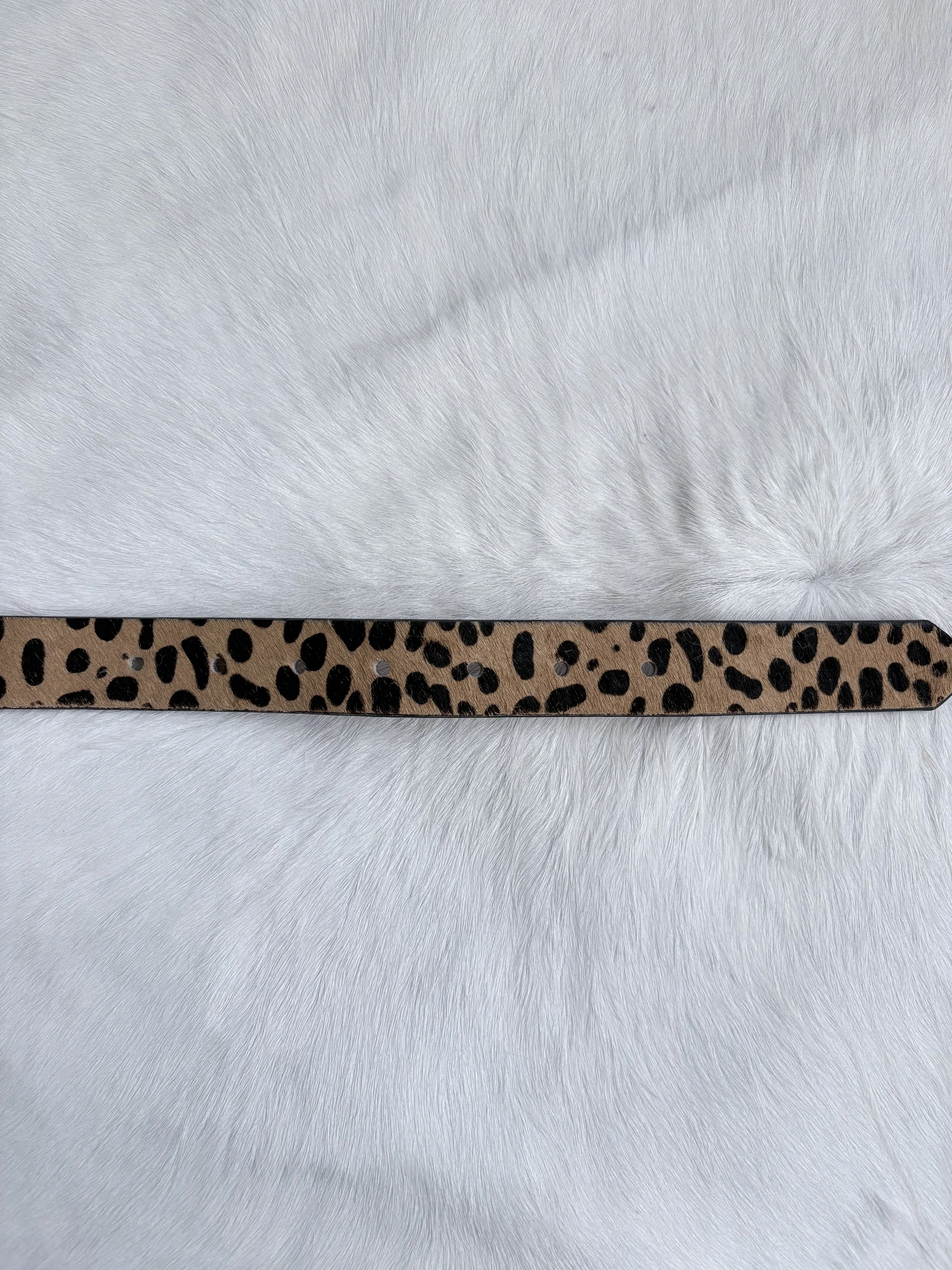 Photo Jan 15 2026, 2 51 58 PM.jpg