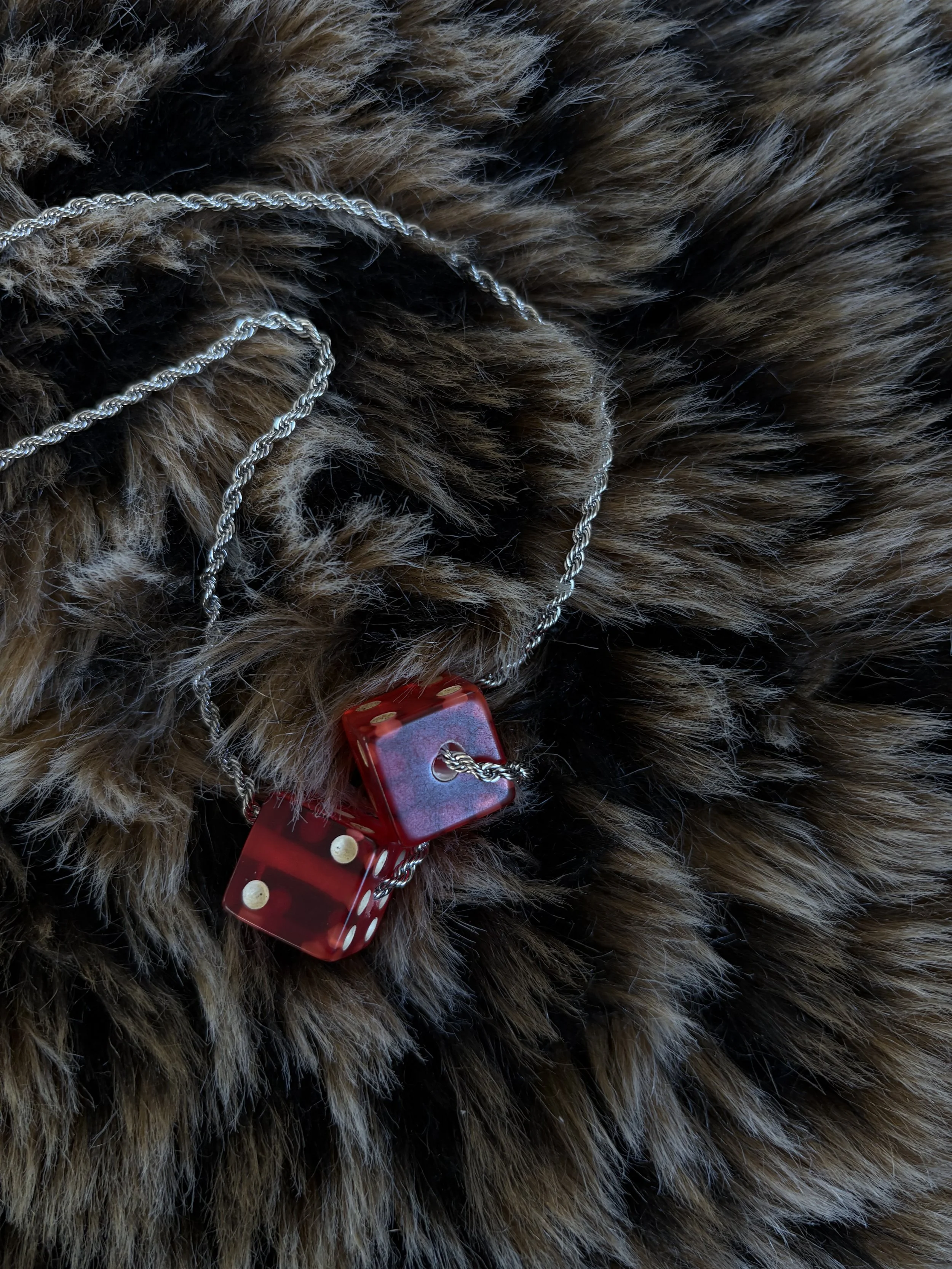 Photo Feb 11 2026, 4 42 55 PM.jpg