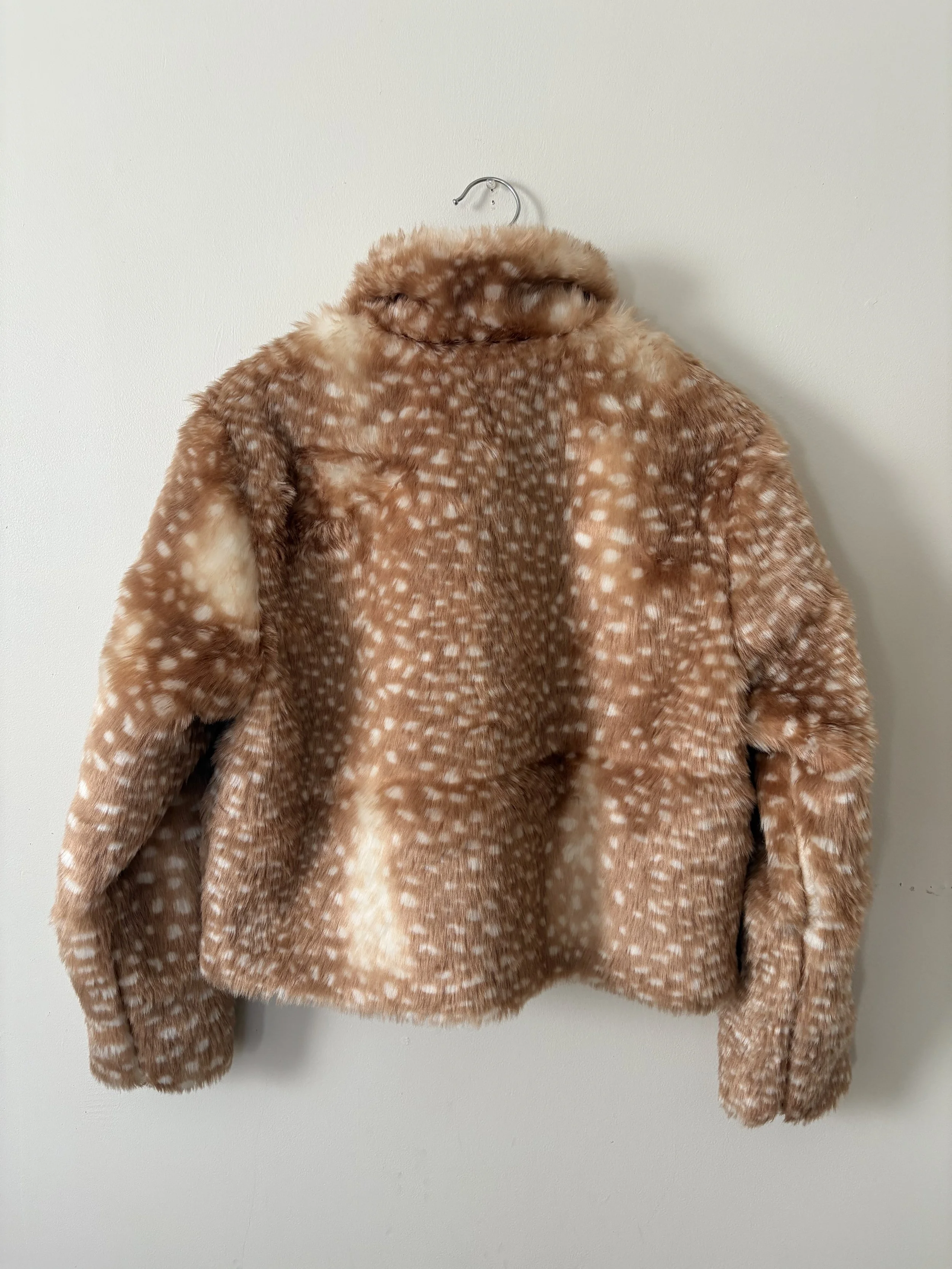 Photo Dec 19 2025, 2 30 10 PM.jpg