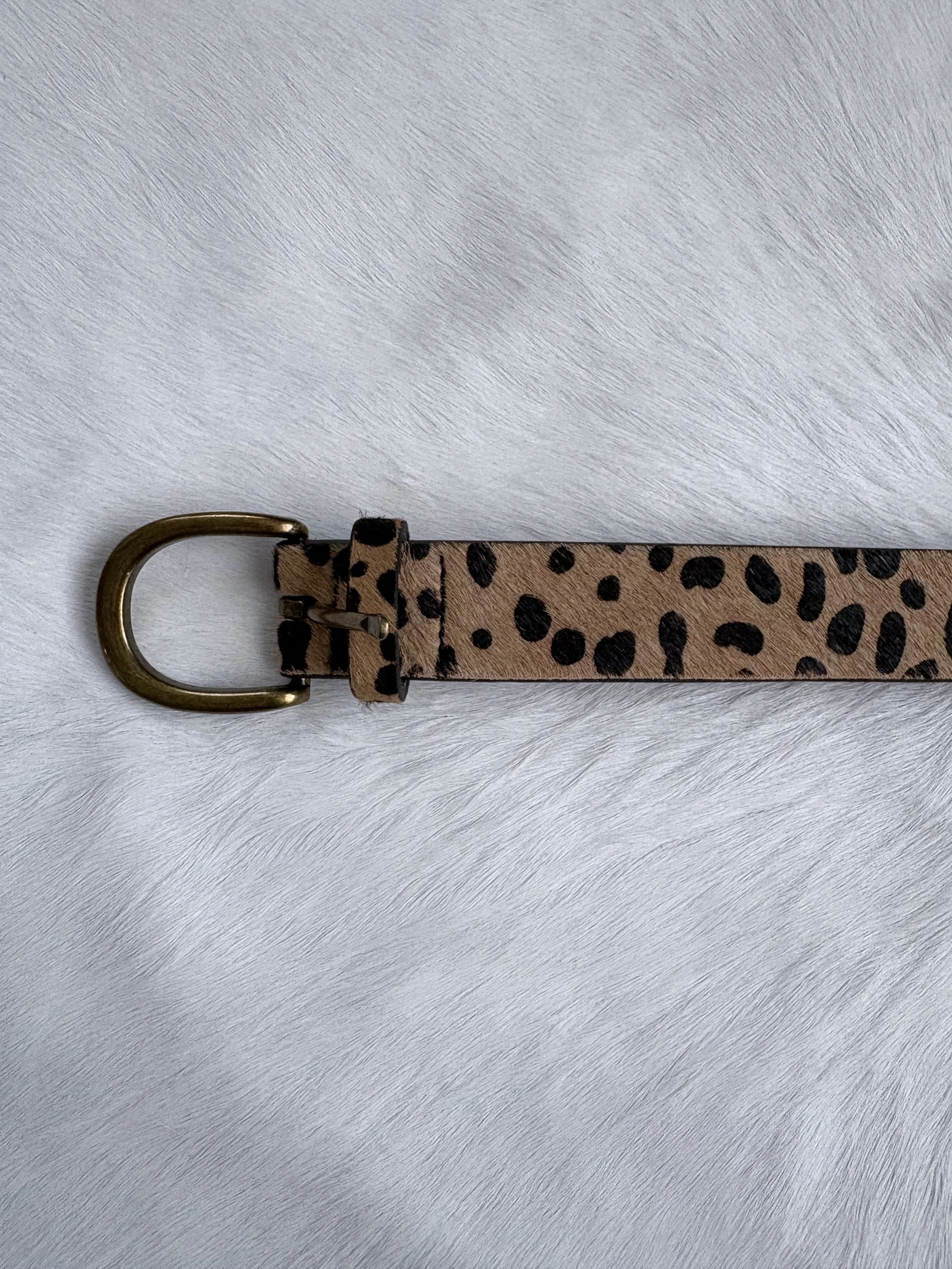 Photo Jan 15 2026, 2 51 39 PM.jpg