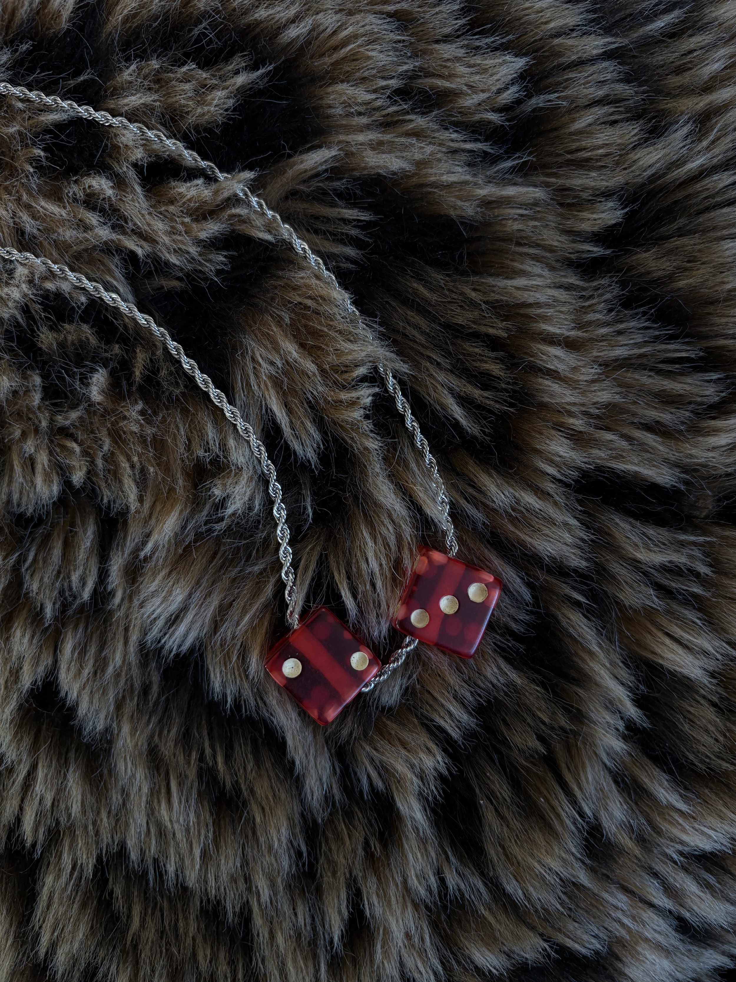 Photo Feb 11 2026, 4 42 08 PM.jpg