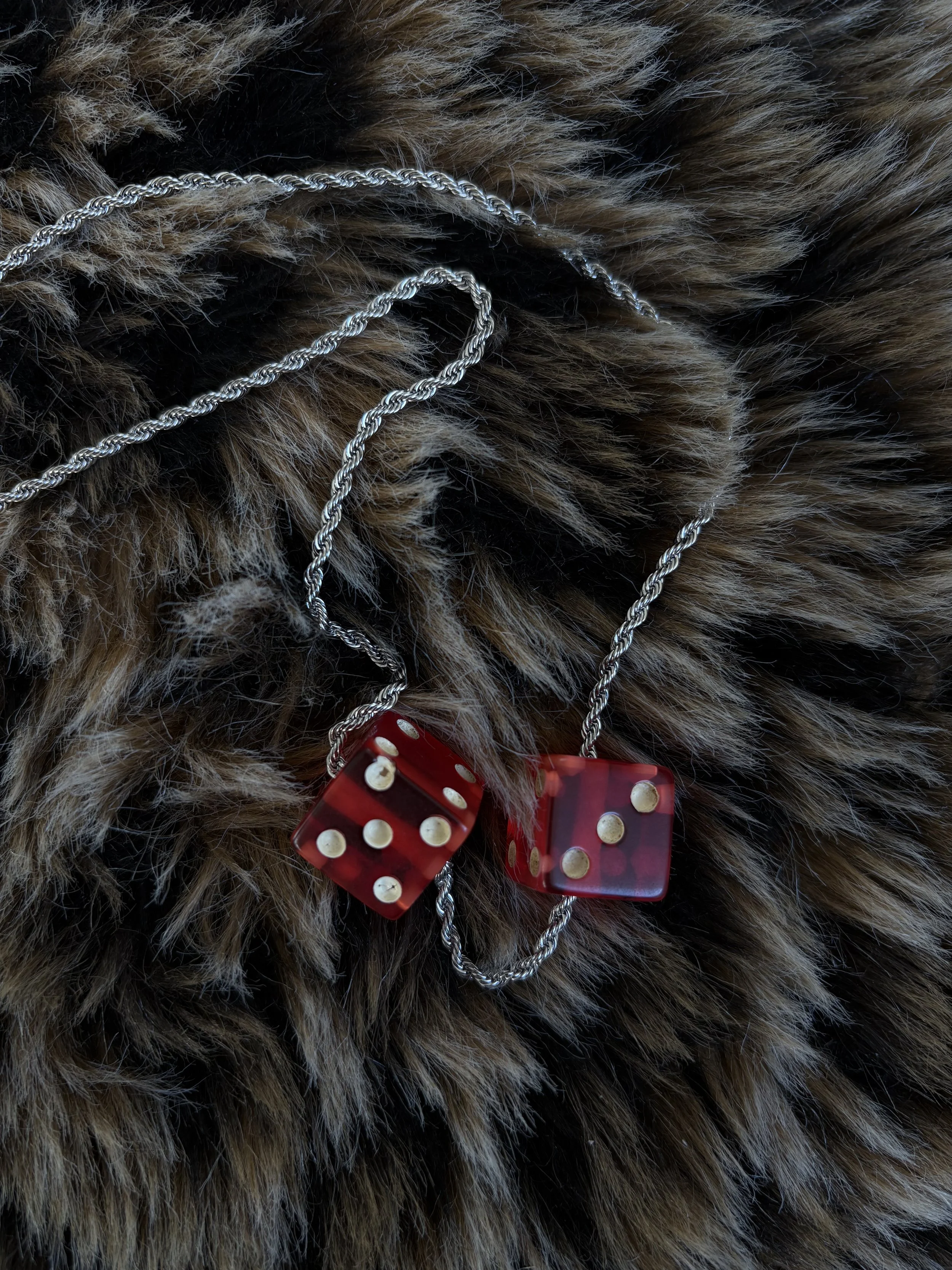 Photo Feb 11 2026, 4 42 30 PM.jpg