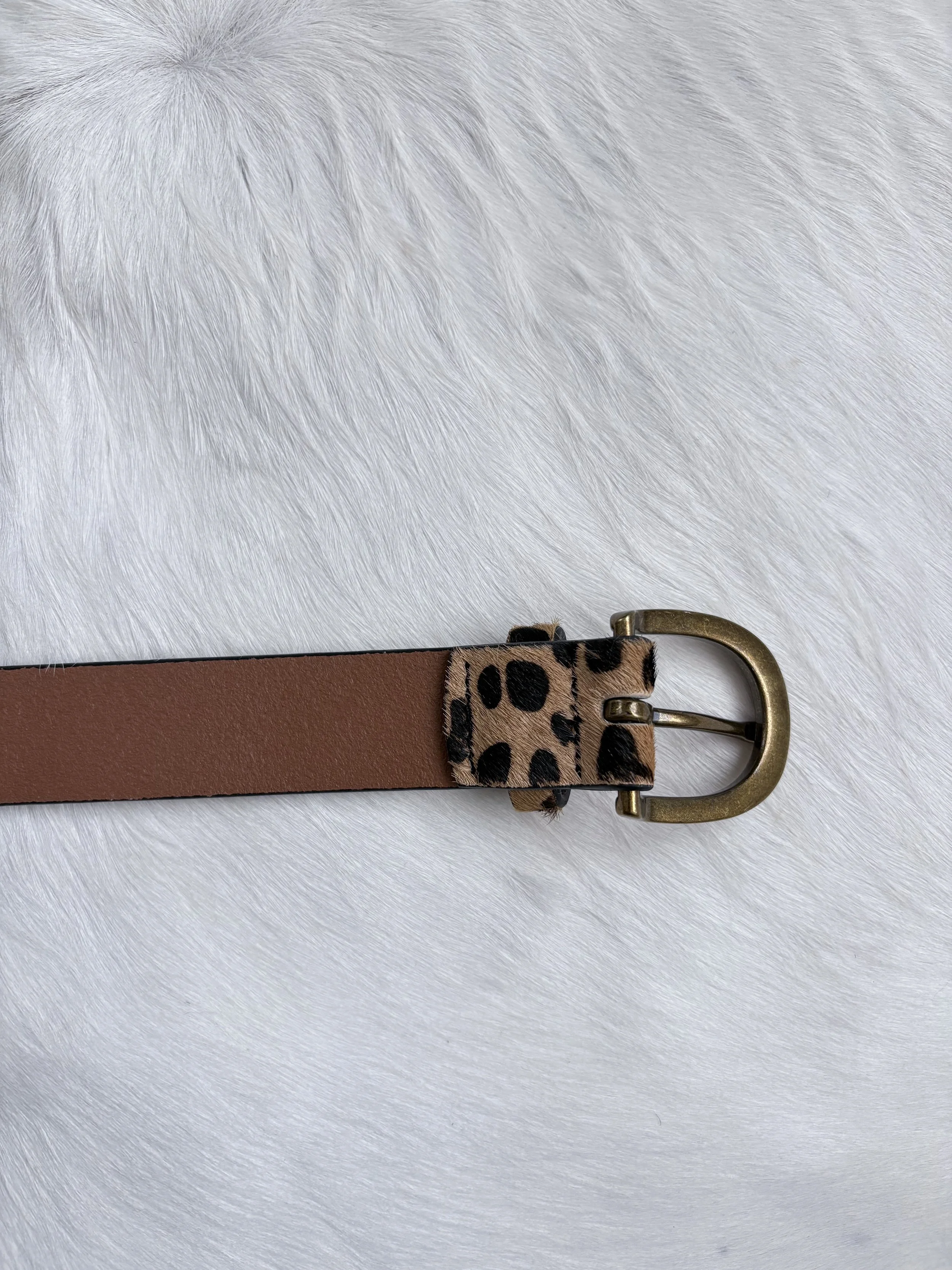 Photo Jan 15 2026, 2 52 25 PM.jpg