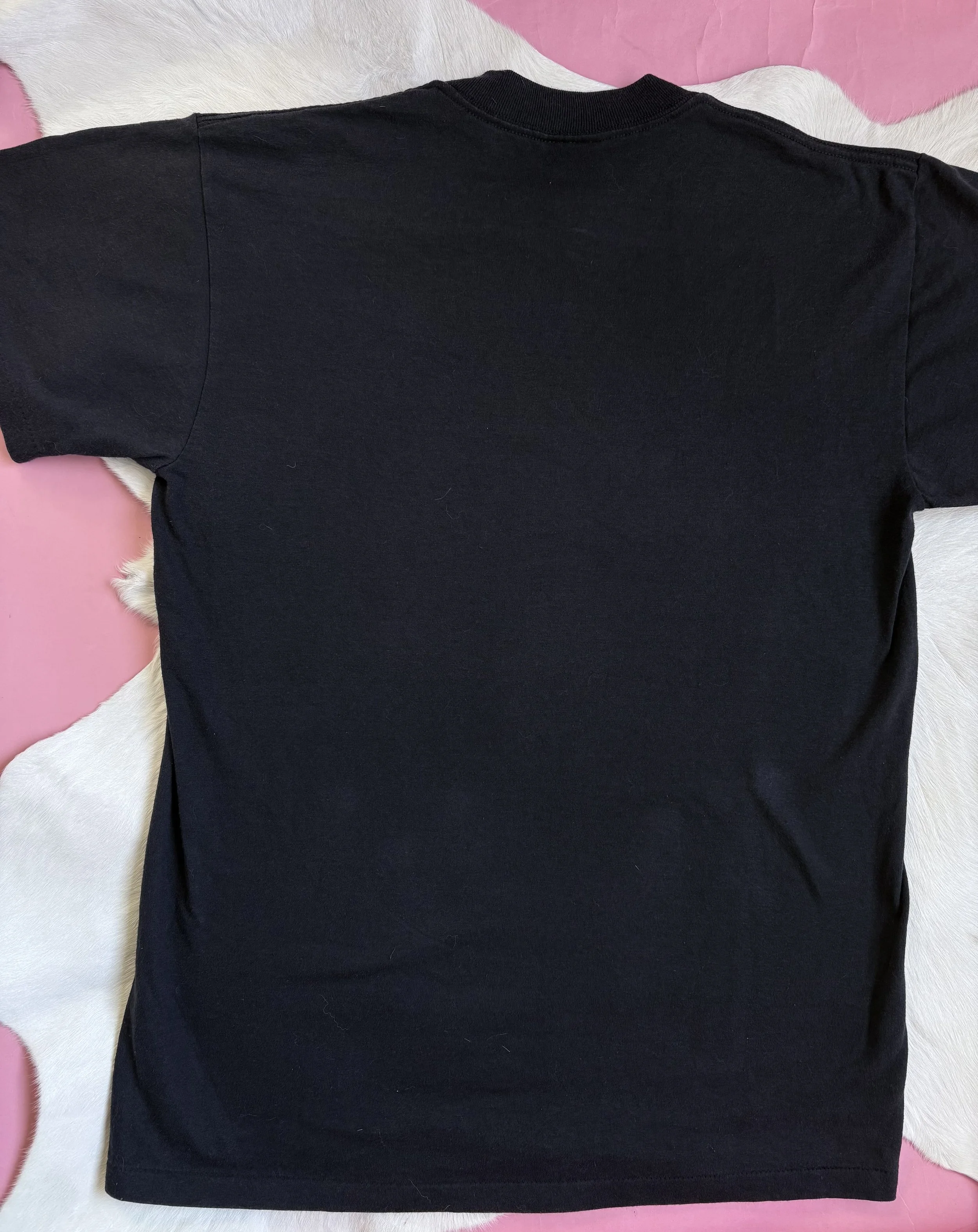 Photo Mar 12 2026, 2 34 08 PM.jpg