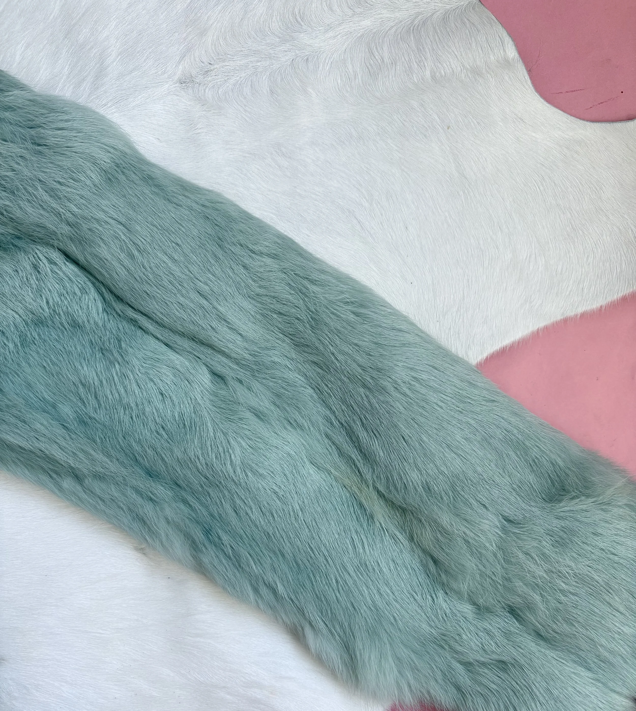 Photo Mar 12 2026, 2 54 47 PM.jpg