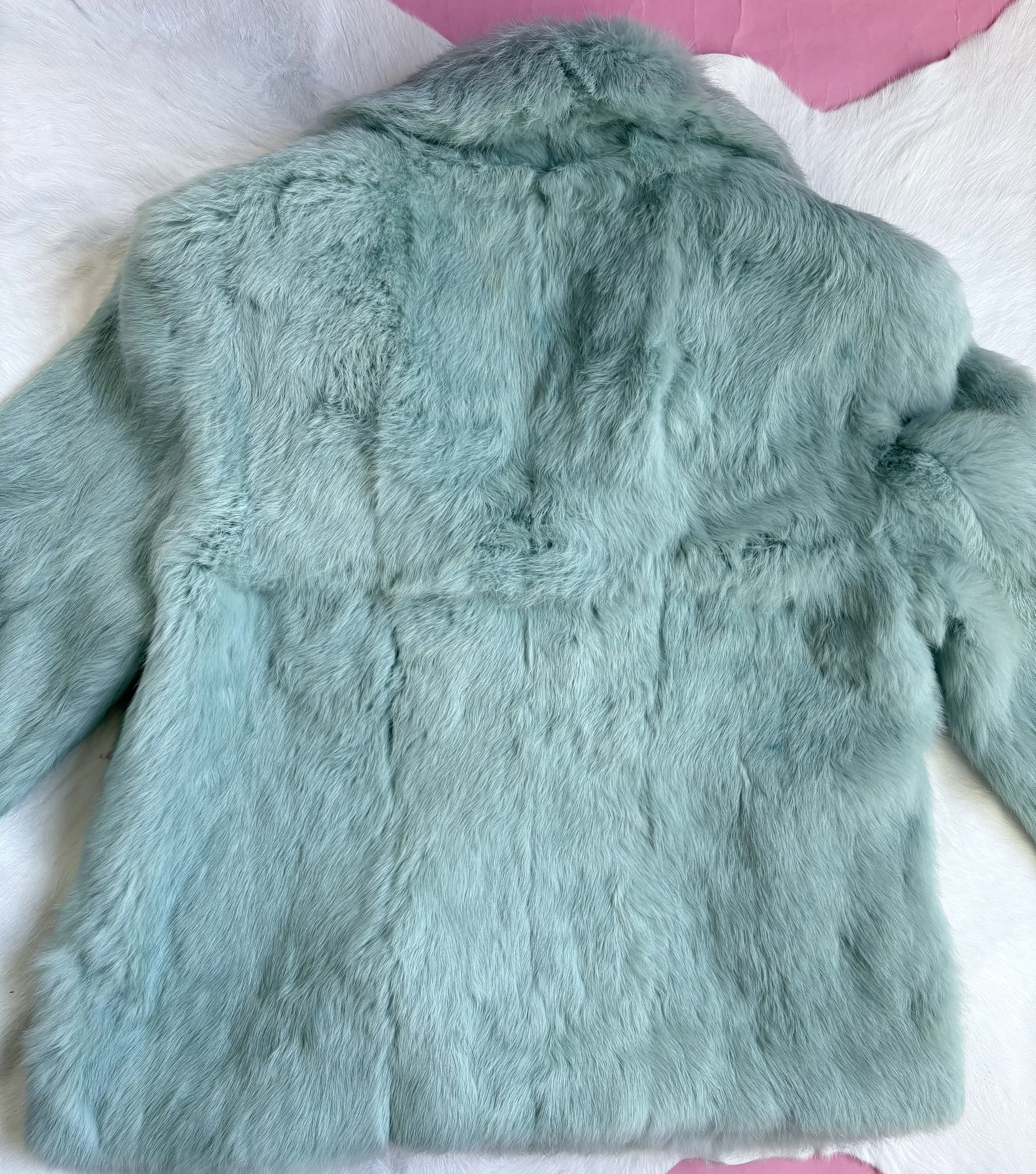 Photo Mar 12 2026, 2 54 43 PM.jpg