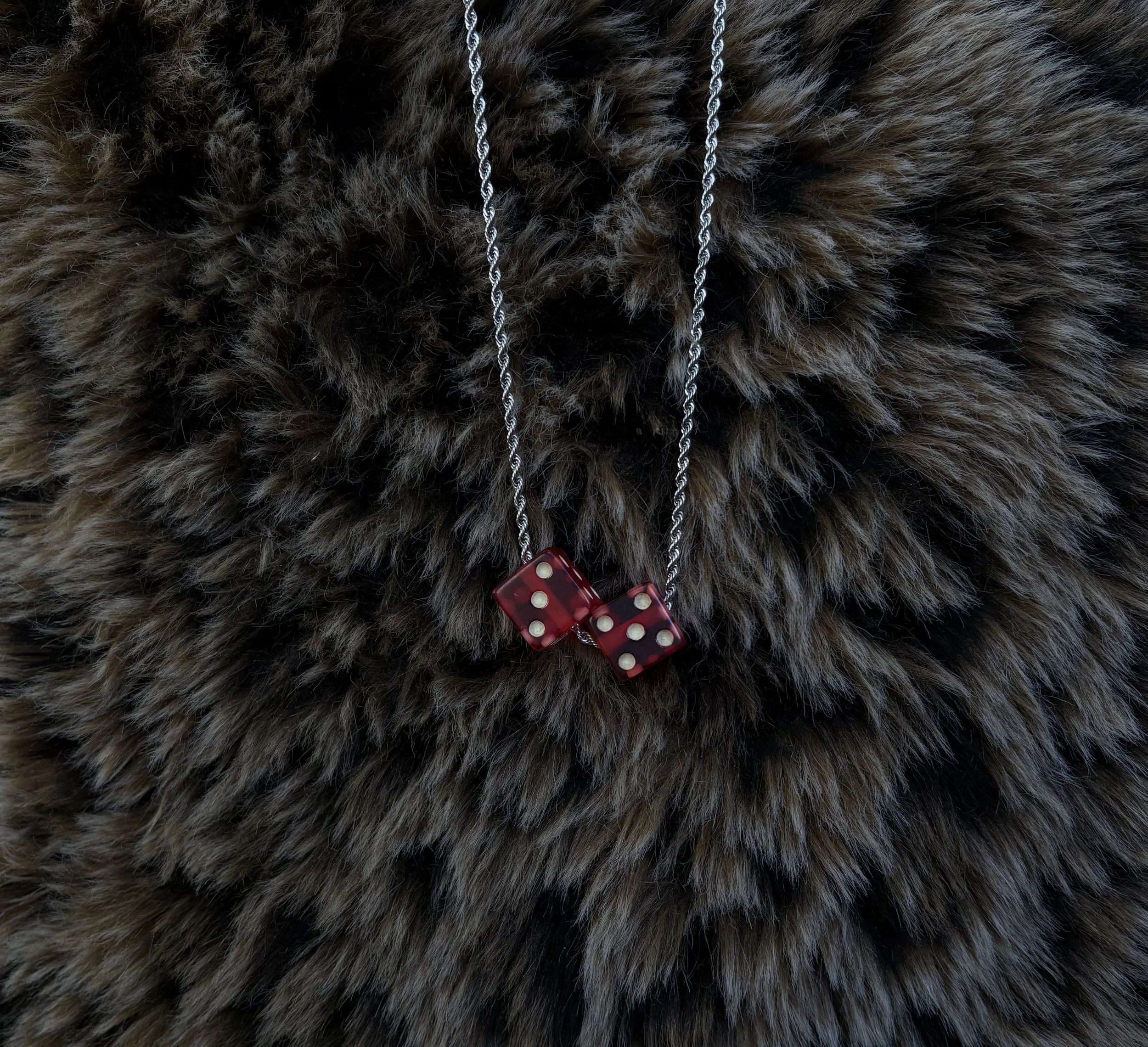 Photo Feb 11 2026, 4 41 34 PM.jpg