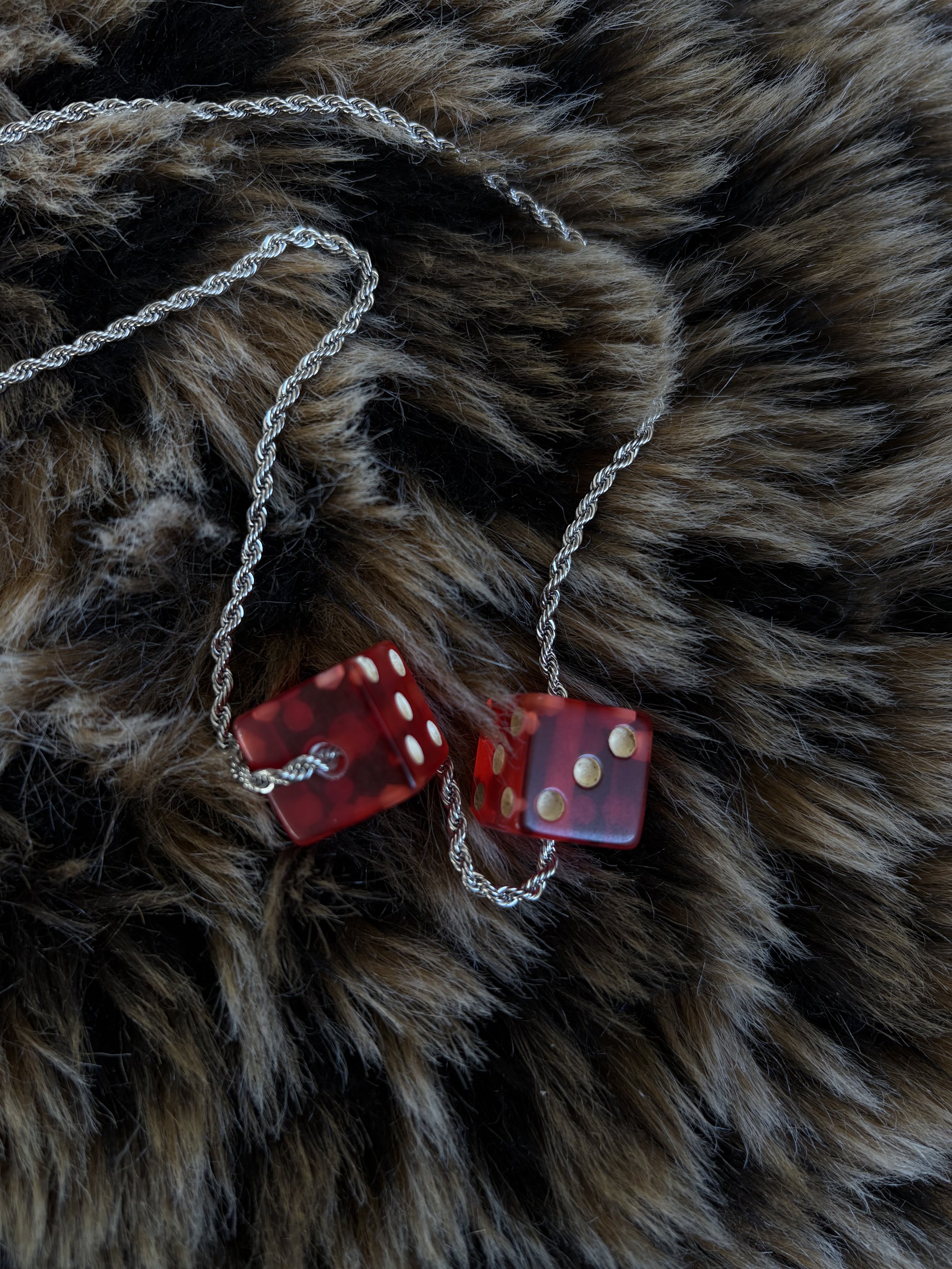 Photo Feb 11 2026, 4 42 41 PM.jpg