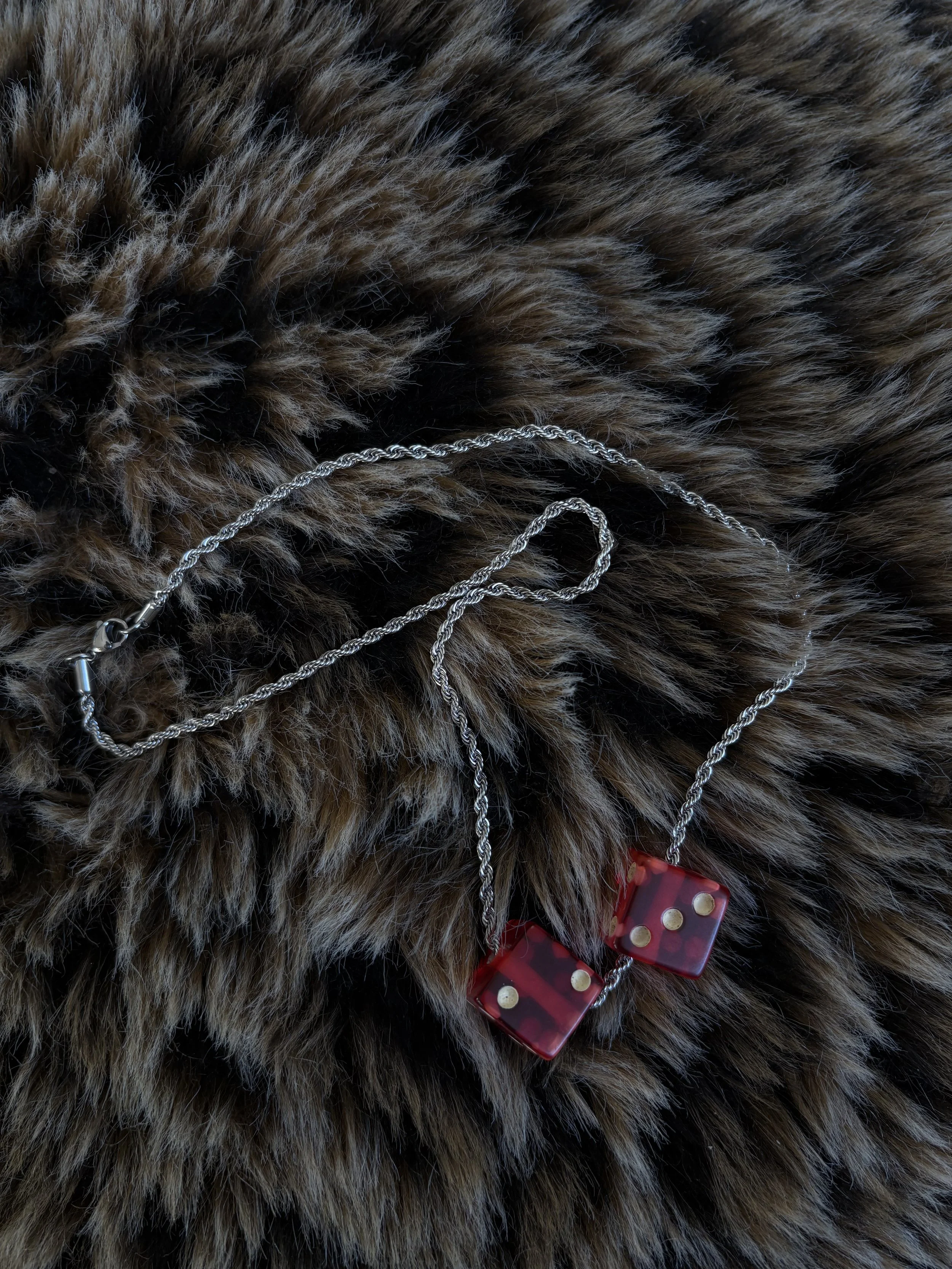 Photo Feb 11 2026, 4 42 21 PM.jpg