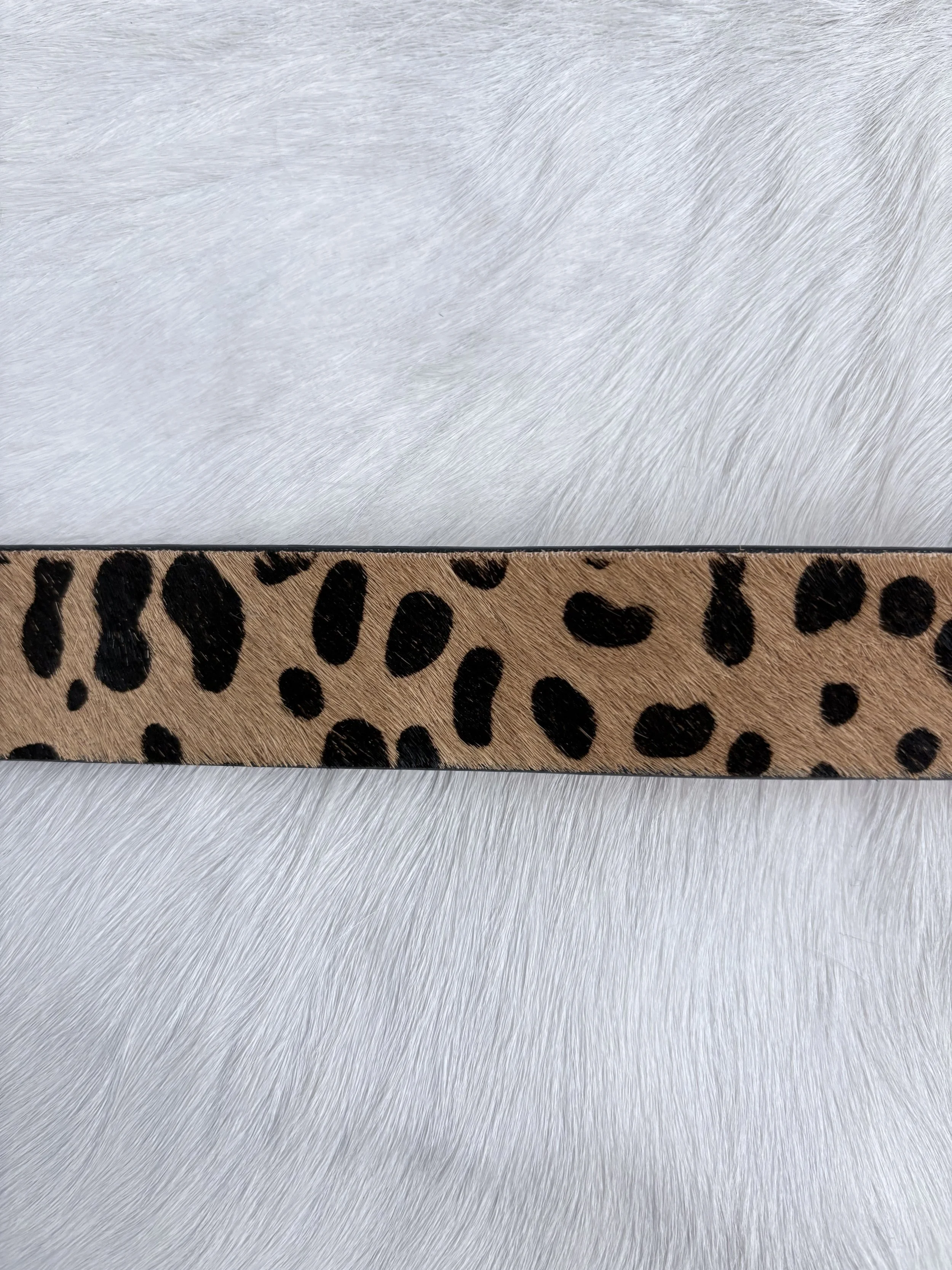 Photo Jan 15 2026, 2 52 30 PM.jpg