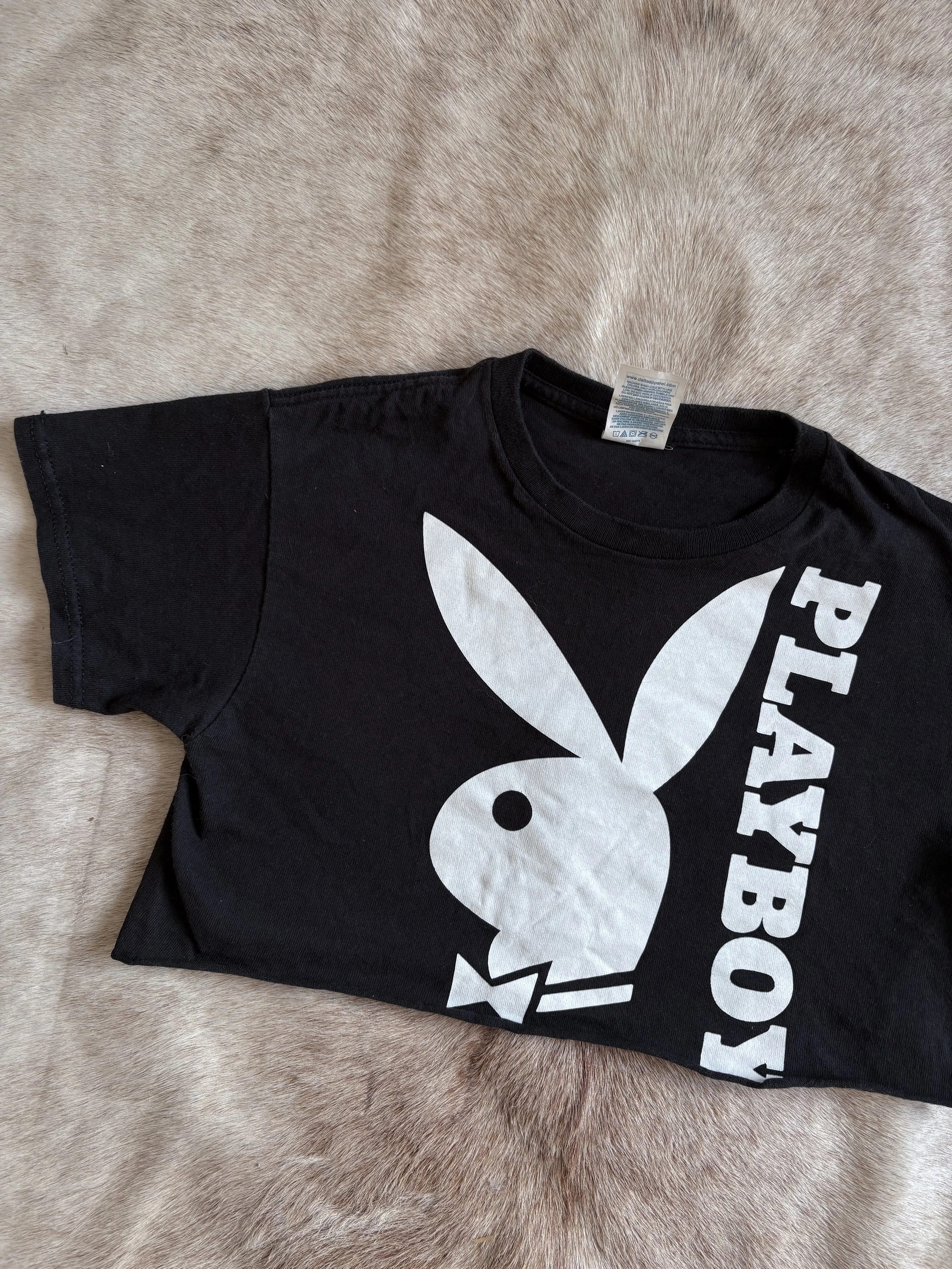 Photo Feb 11 2026, 5 31 16 PM.jpg