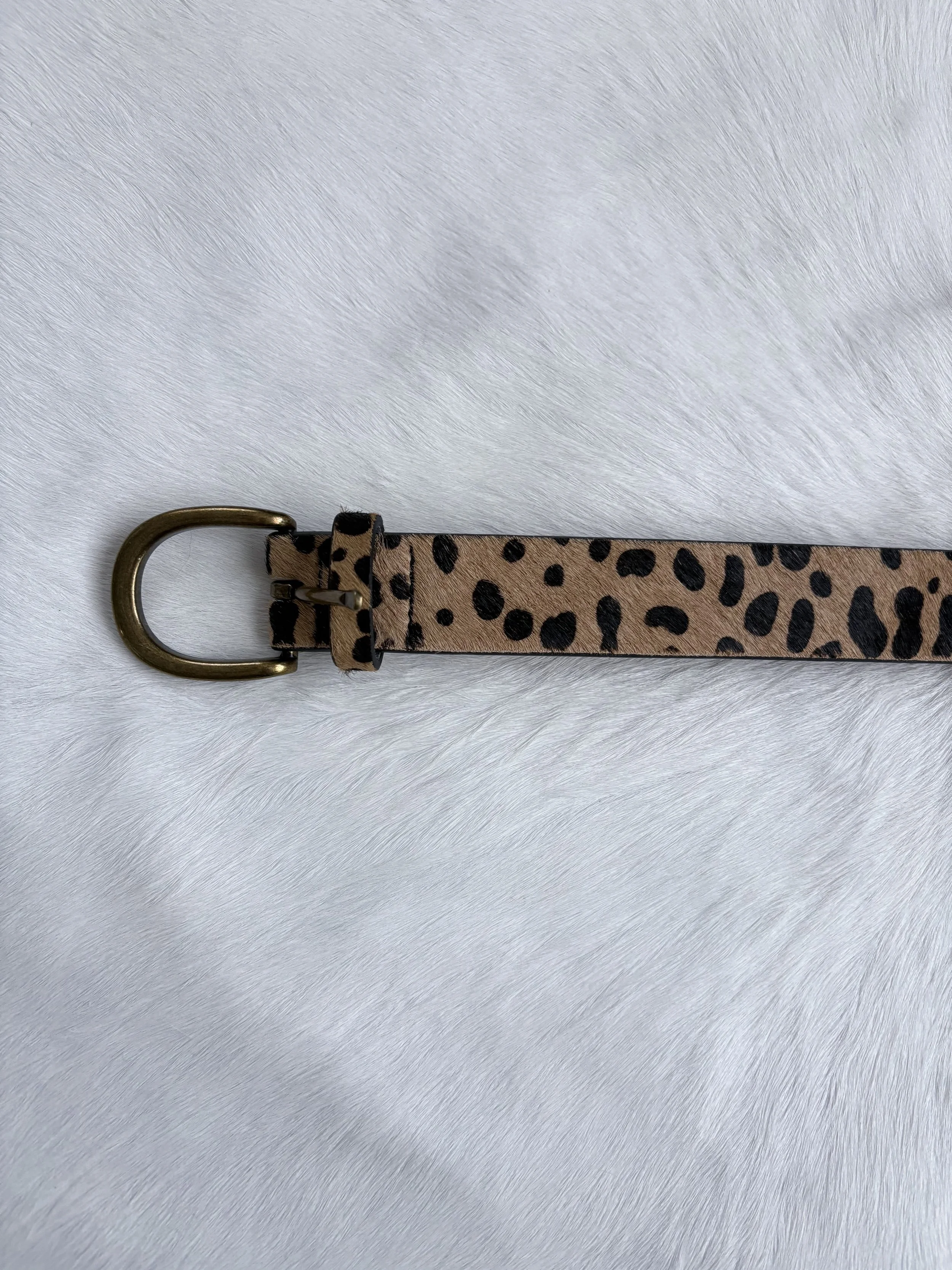 Photo Jan 15 2026, 2 51 37 PM.jpg